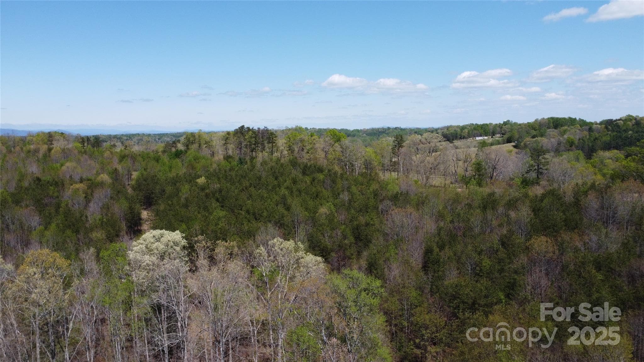 Acreage at Morganton, photo 23 of 40