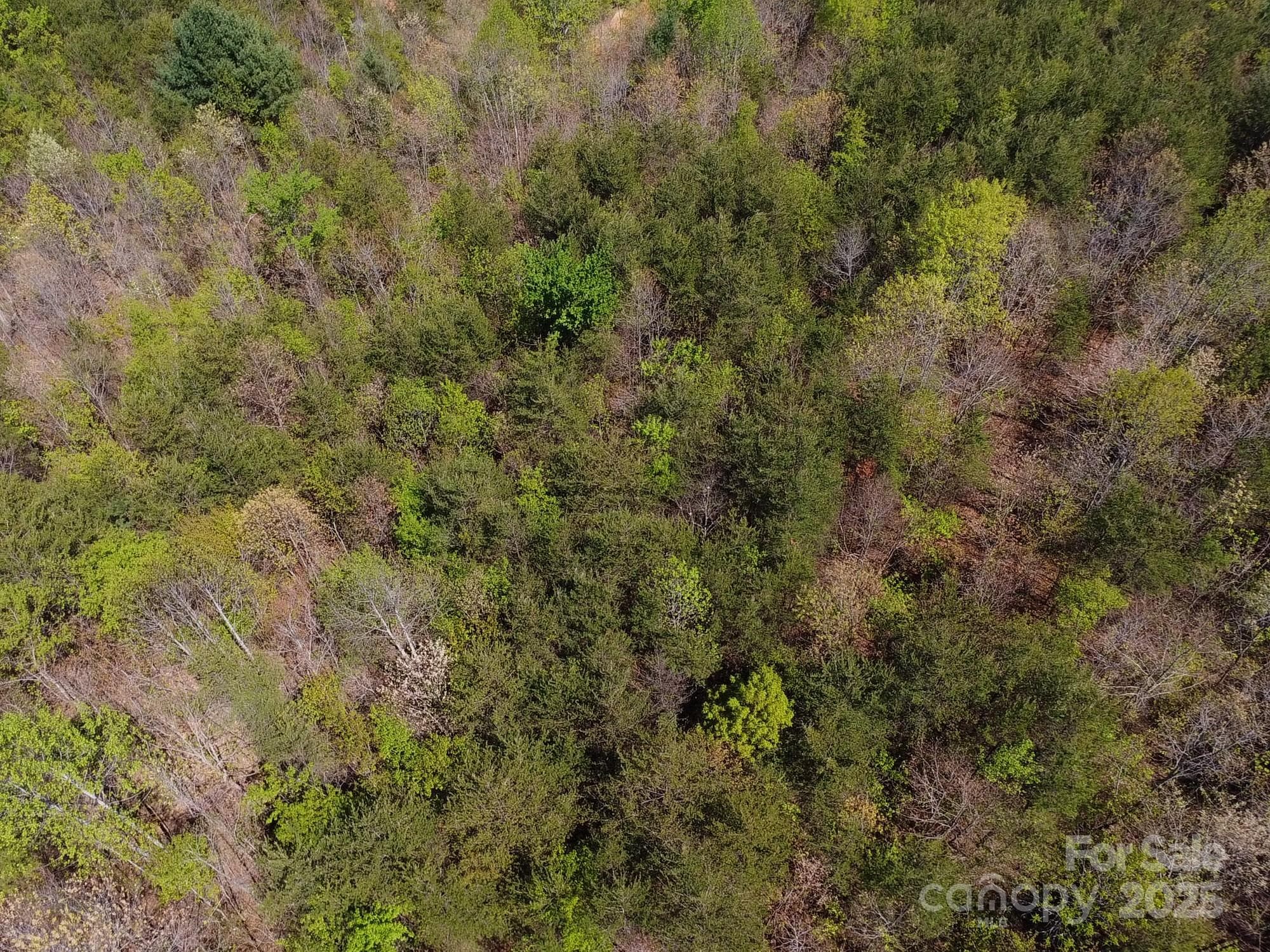 Acreage at Morganton, photo 39 of 40