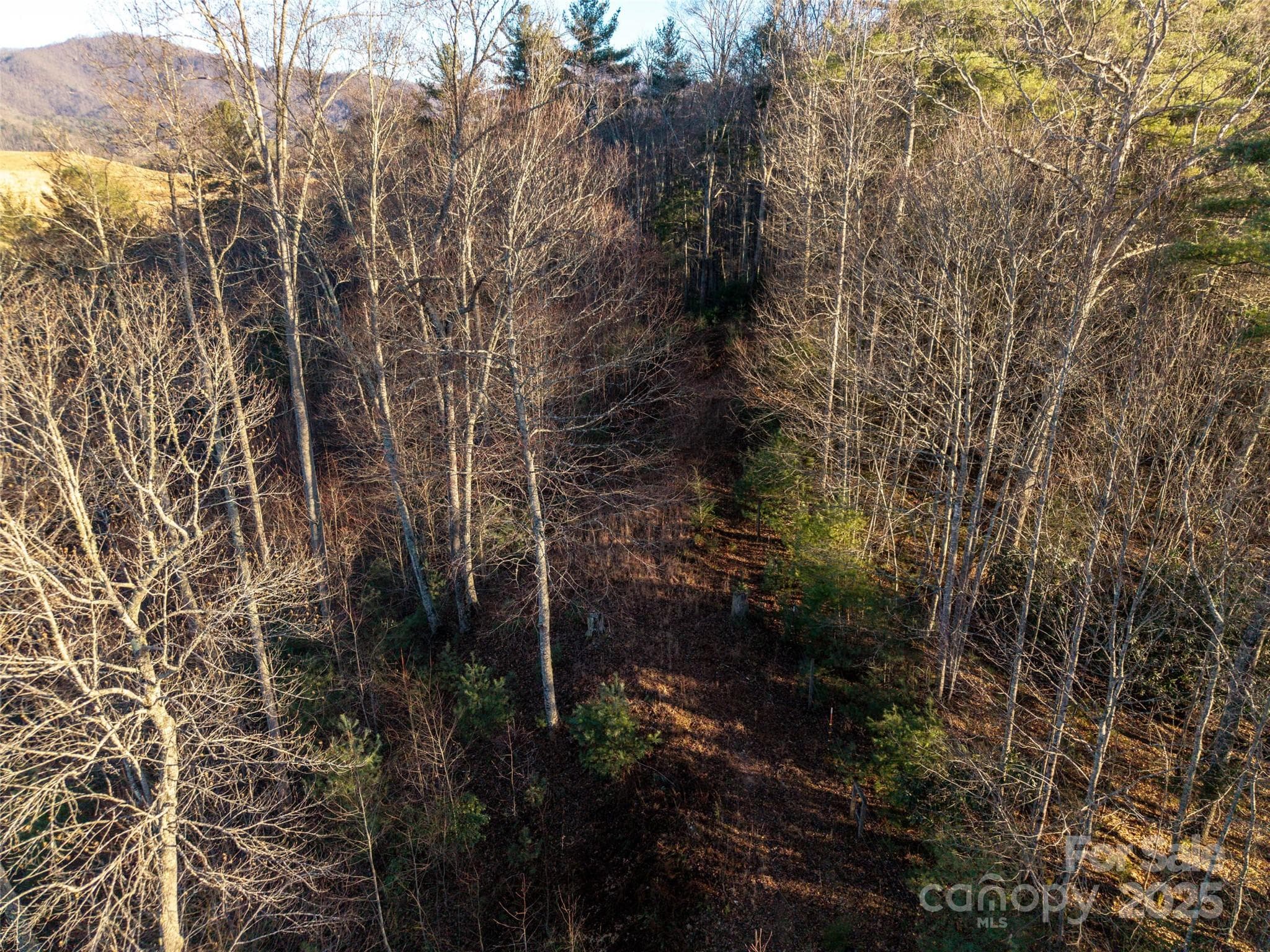 Acreage at Waynesville, photo 6 of 8