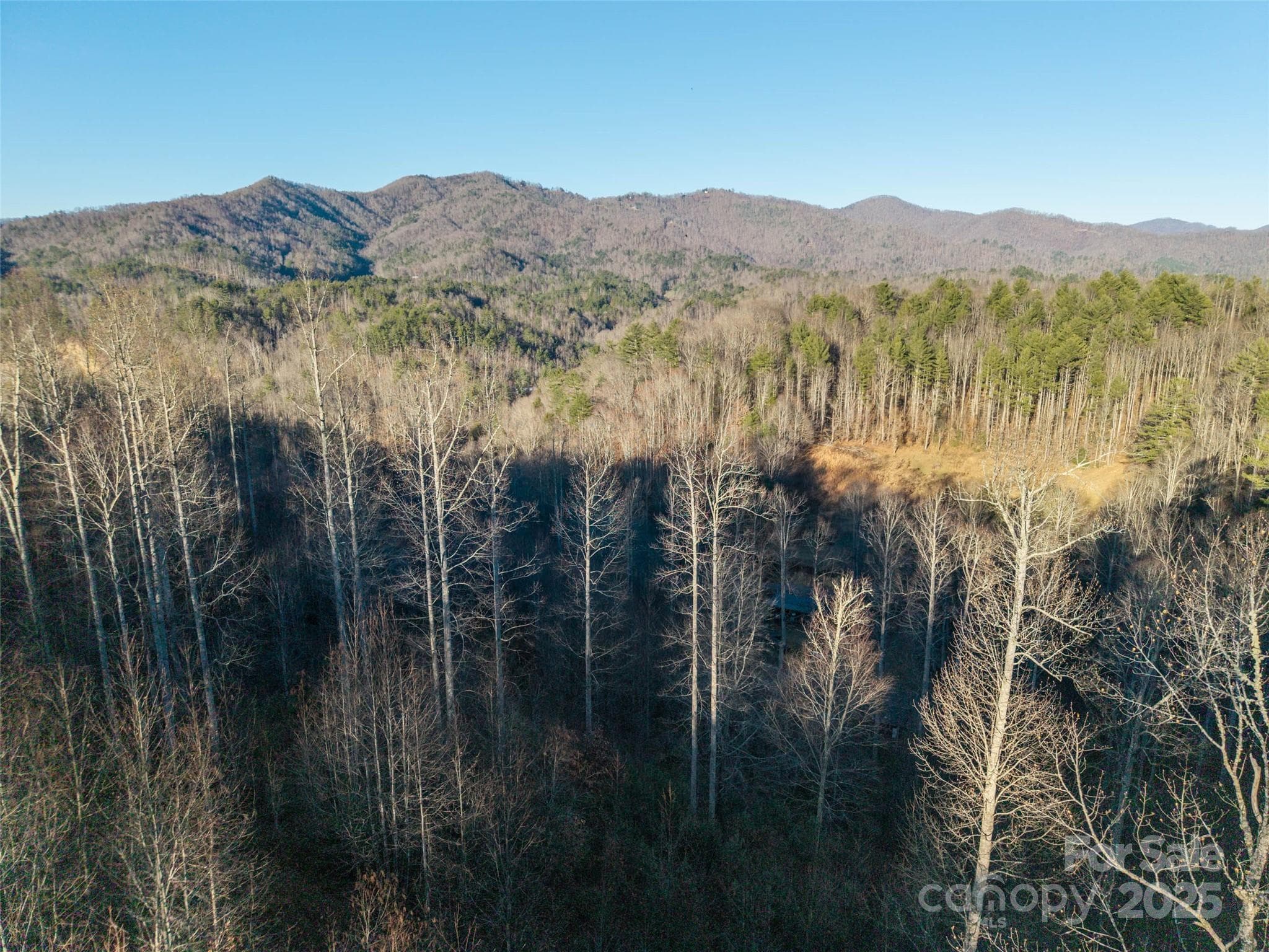Acreage at Waynesville, photo 7 of 8