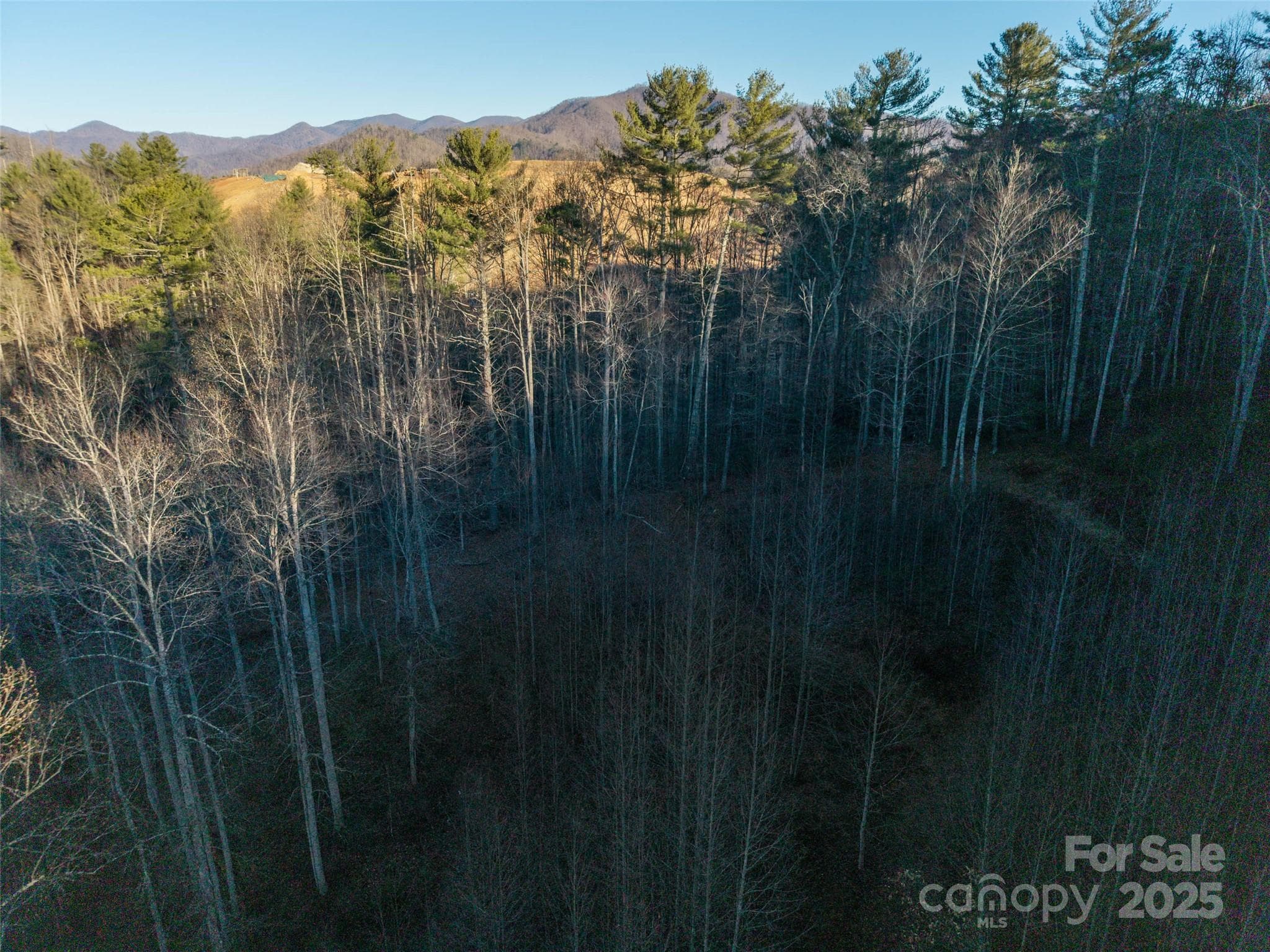 Acreage at Waynesville, photo 8 of 8