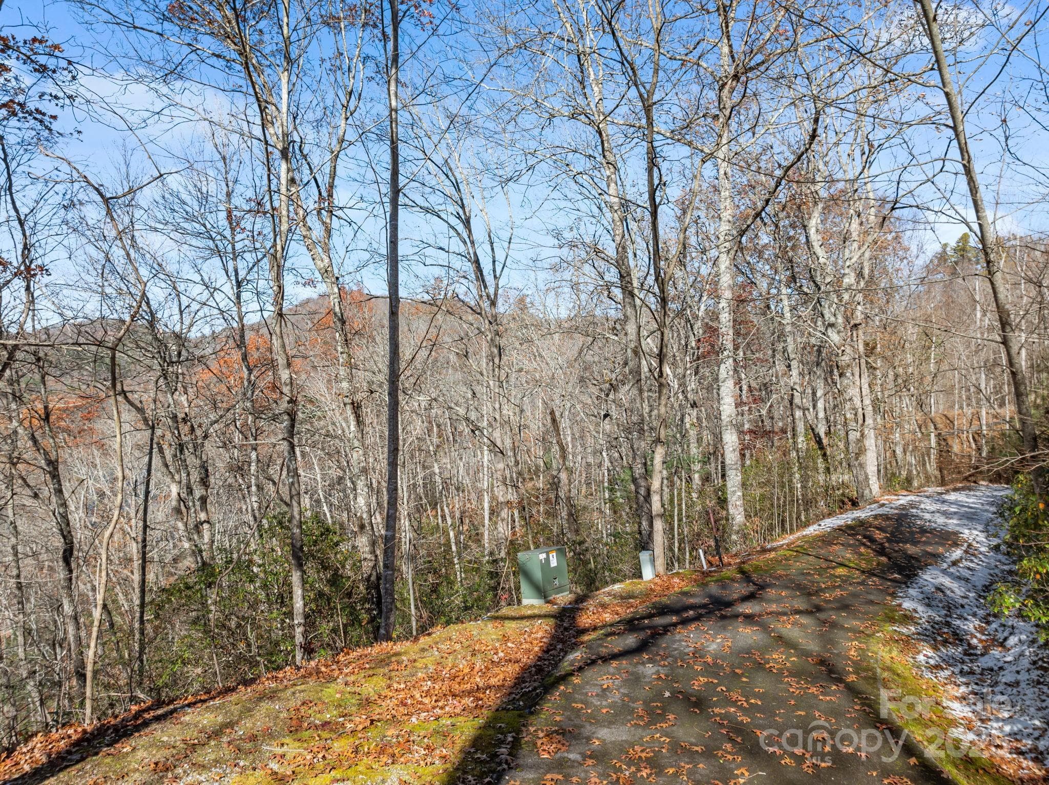 Acreage at 151 Trout Lily Lane, Tuckasegee, photo 3 of 17