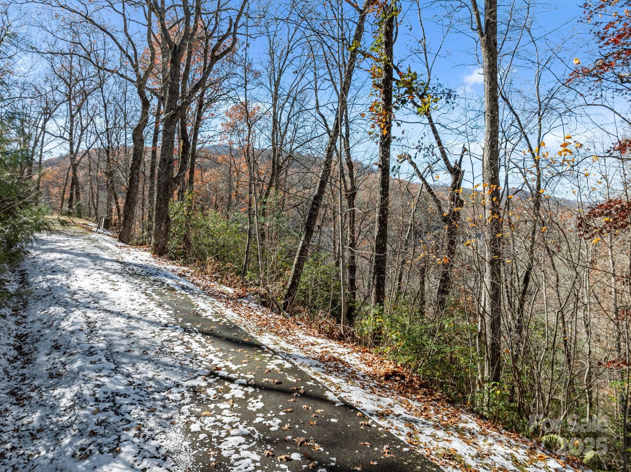 Acreage at 151 Trout Lily Lane, Tuckasegee, photo 4 of 17
