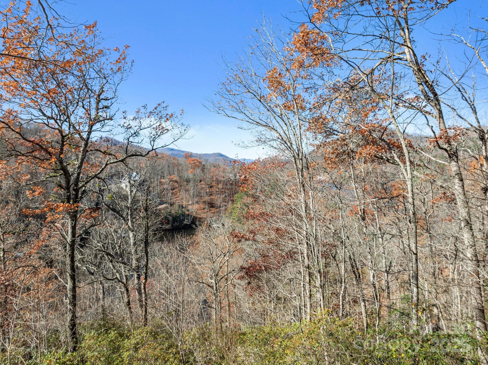 Acreage at 151 Trout Lily Lane, Tuckasegee, photo 5 of 17