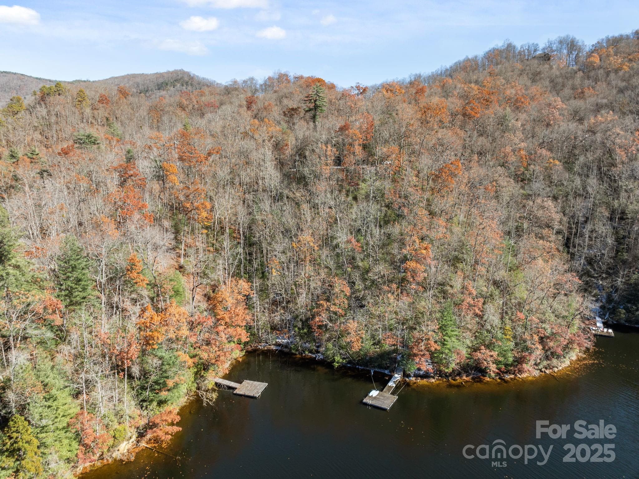 Acreage at 151 Trout Lily Lane, Tuckasegee, photo 8 of 17