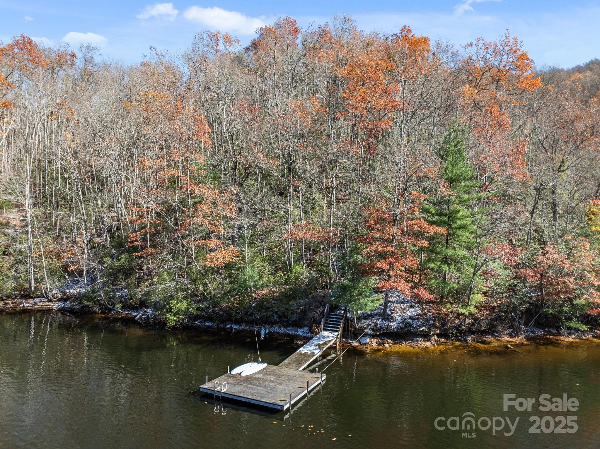 Acreage at 151 Trout Lily Lane, Tuckasegee, photo 9 of 17