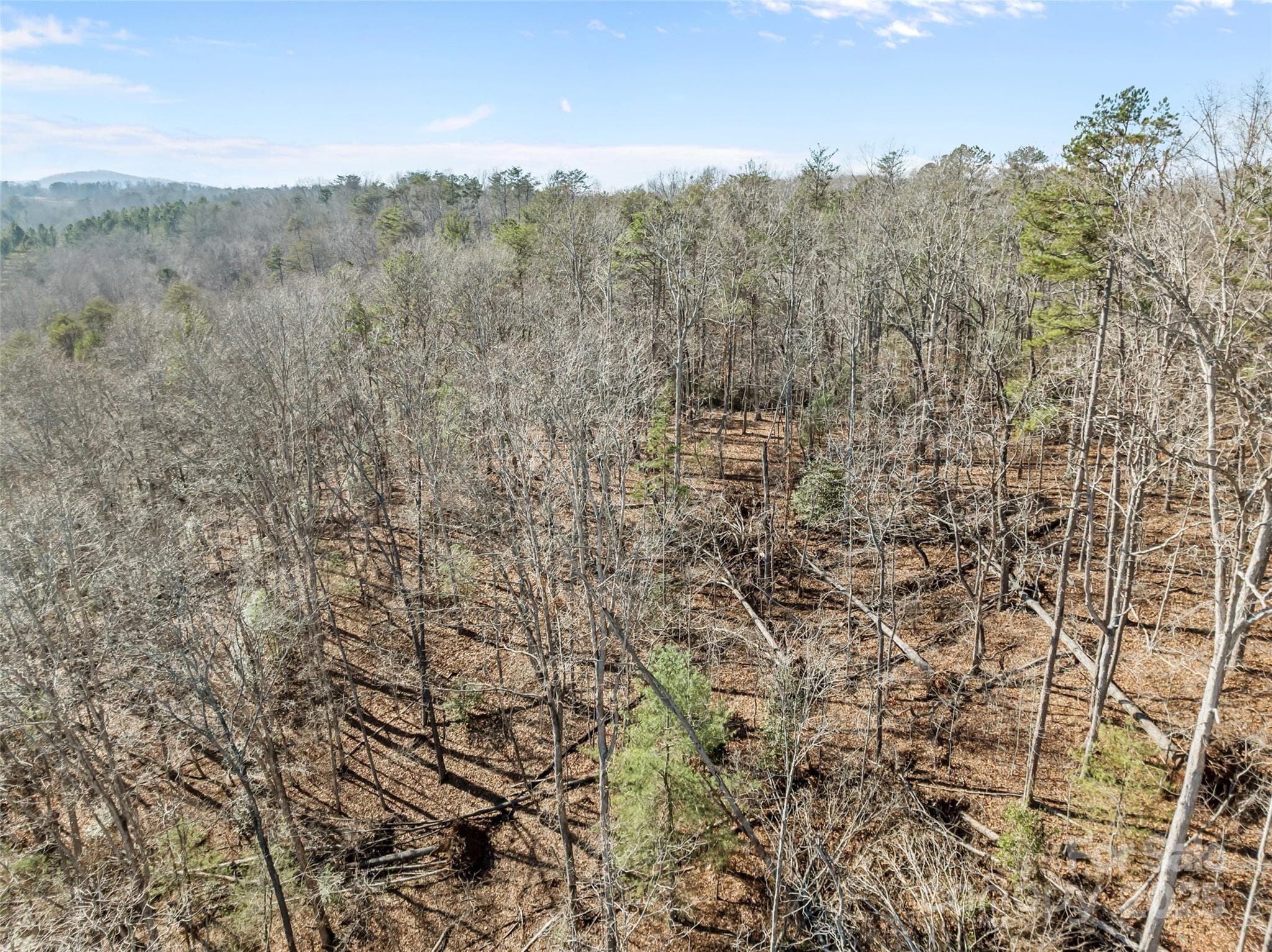 Lot at Nebo, photo 11 of 16