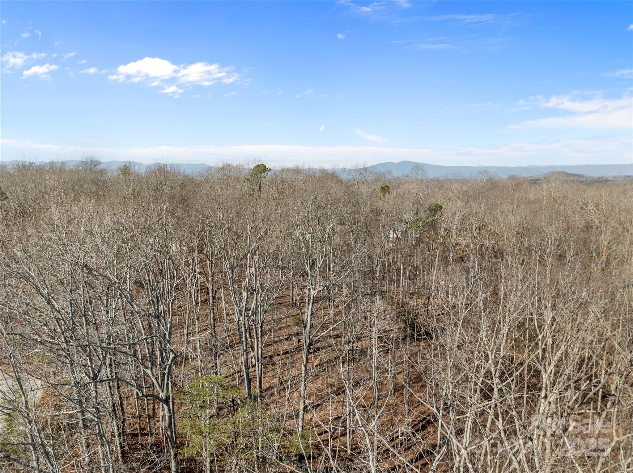 Lot at Nebo, photo 12 of 16