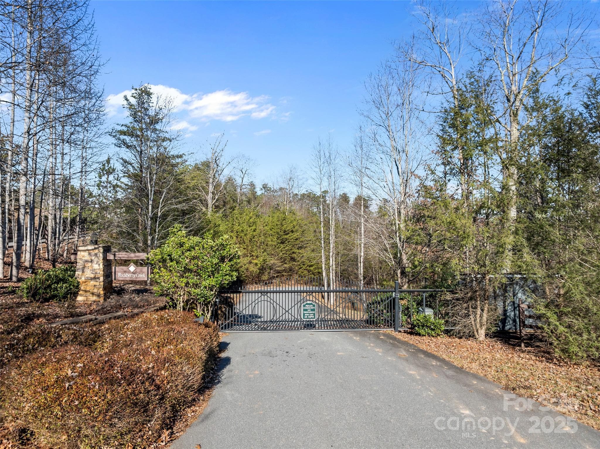 Lot at Nebo, photo 15 of 16