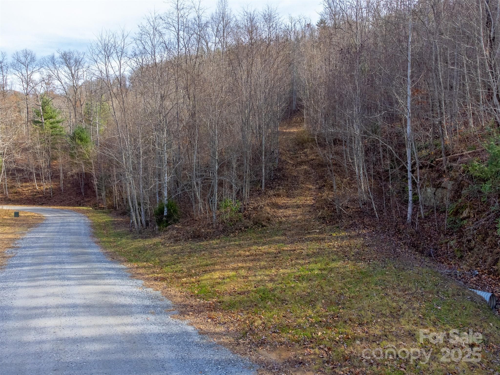 Lot at Sylva, photo 2 of 46