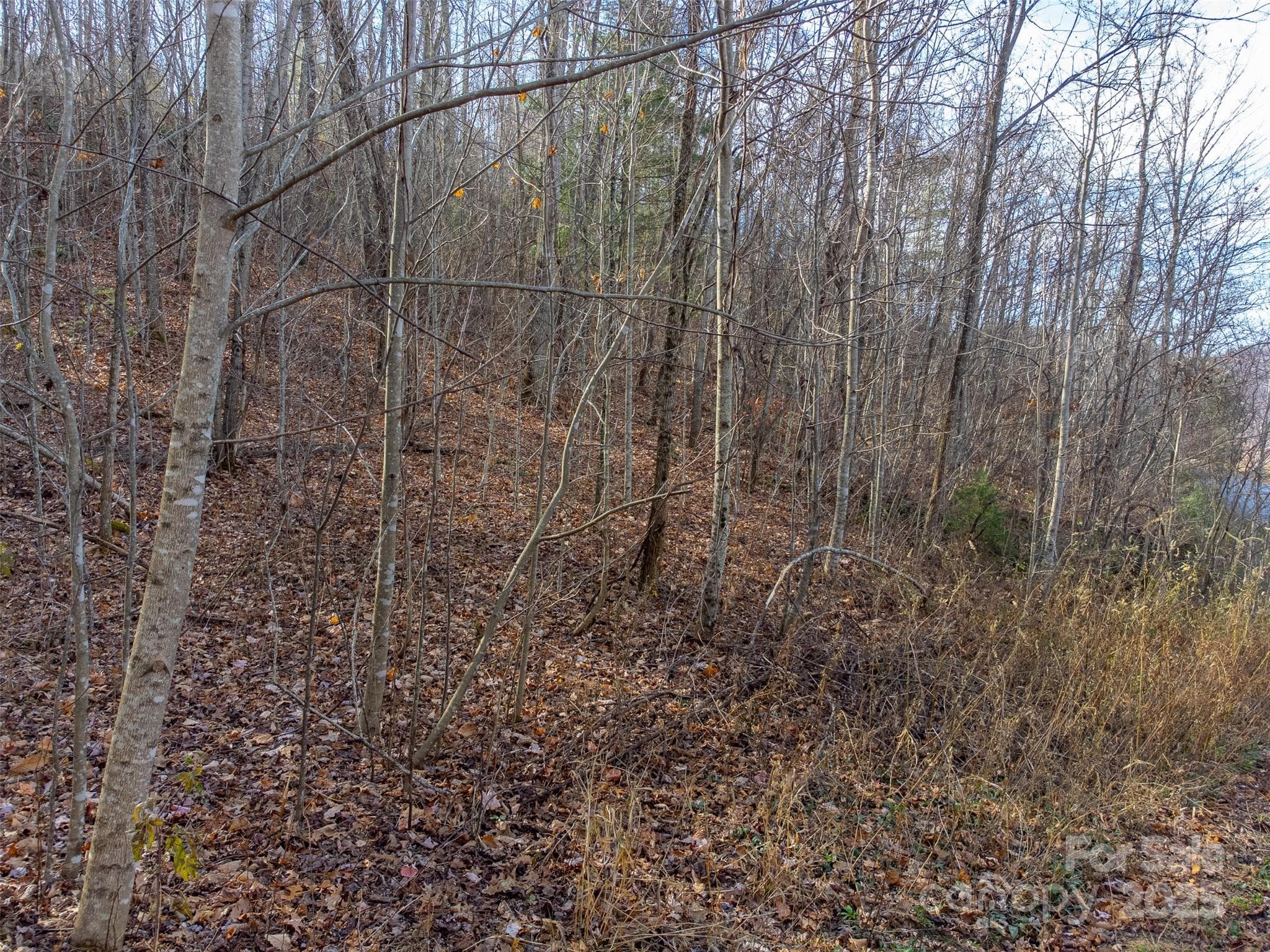 Lot at Sylva, photo 16 of 46