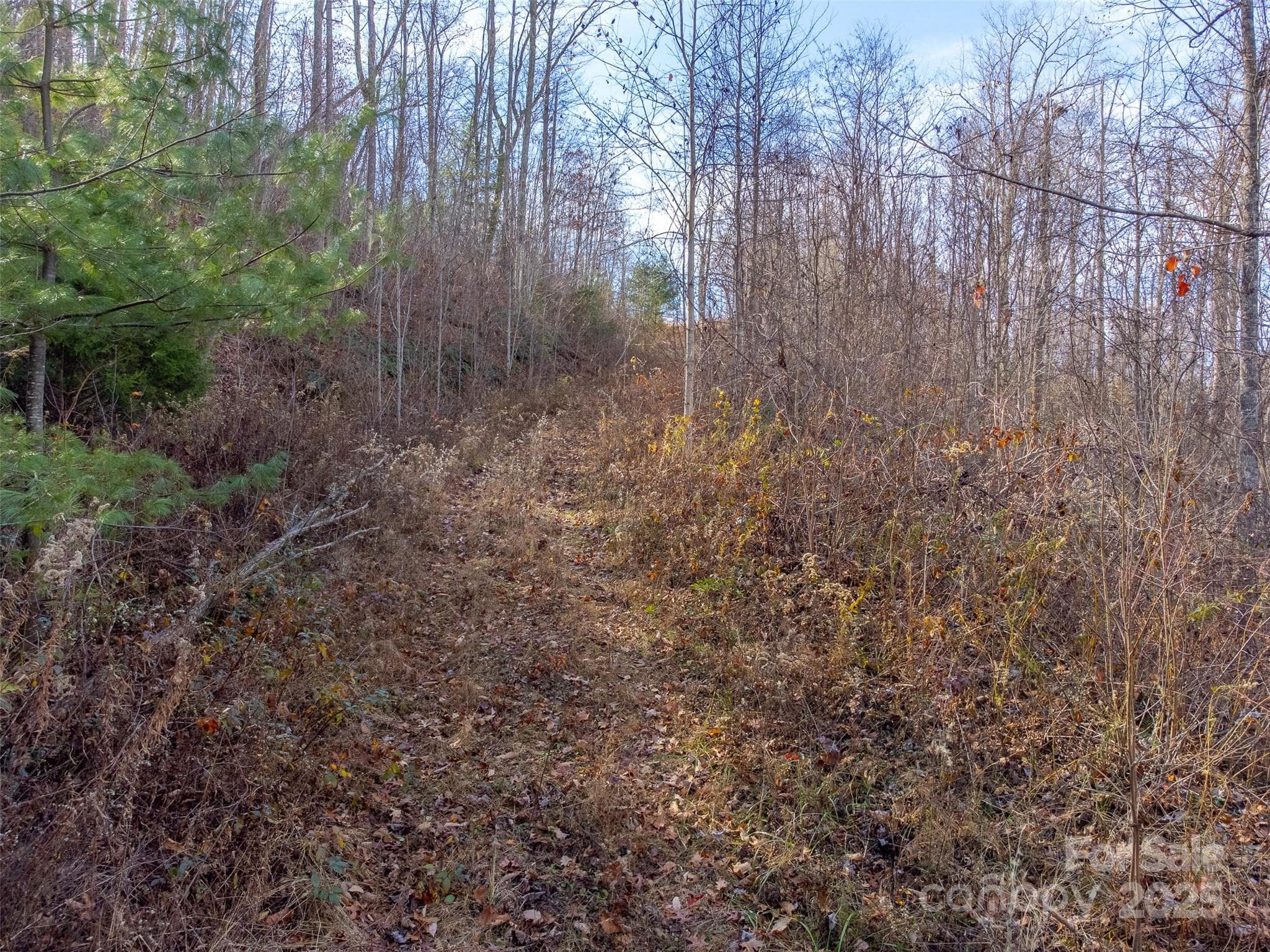 Lot at Sylva, photo 20 of 46