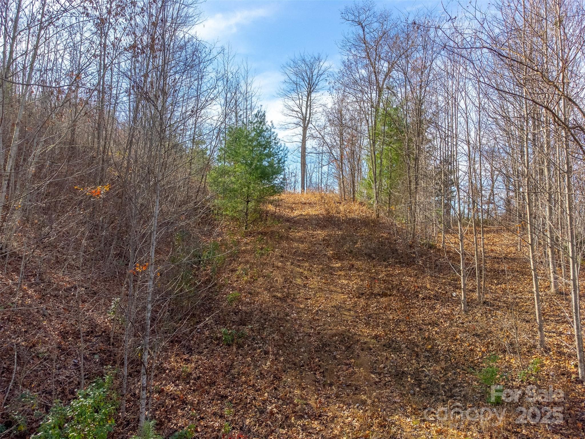 Lot at Sylva, photo 21 of 46