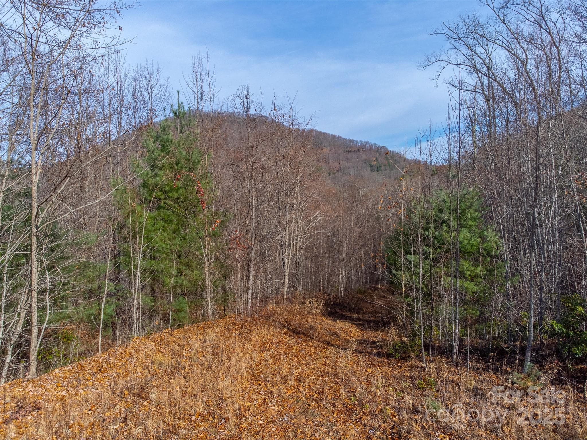 Lot at Sylva, photo 23 of 46