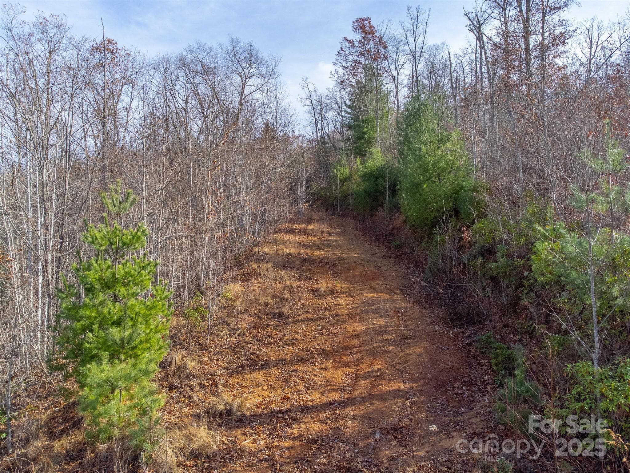 Lot at Sylva, photo 24 of 46
