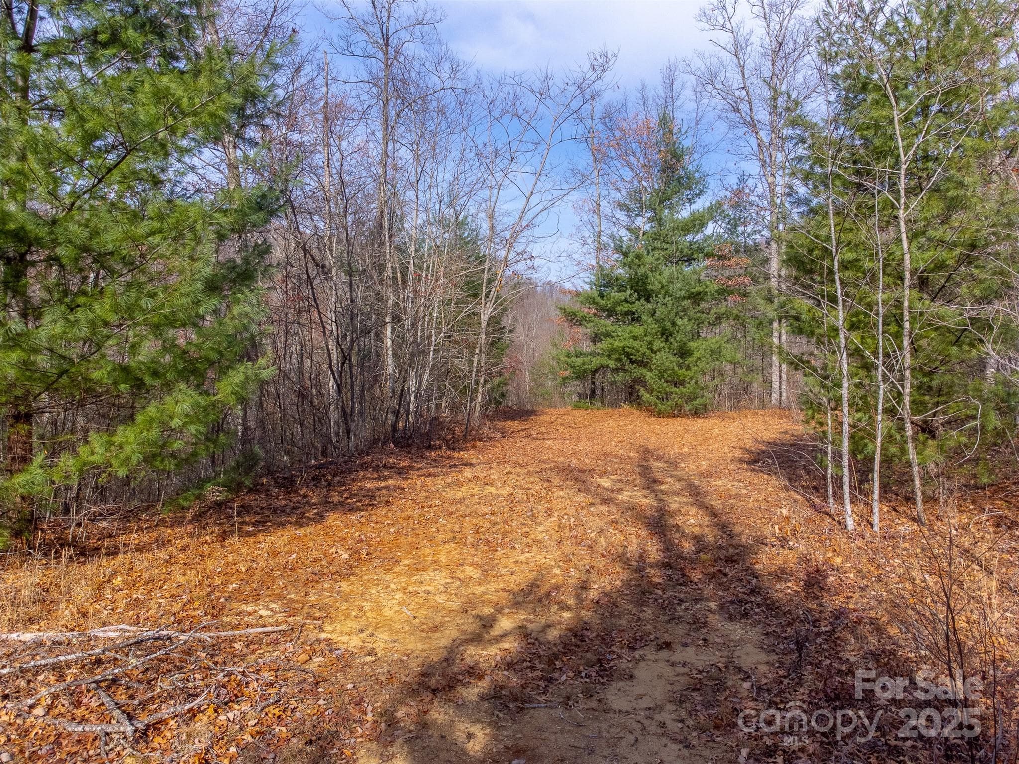 Lot at Sylva, photo 41 of 46