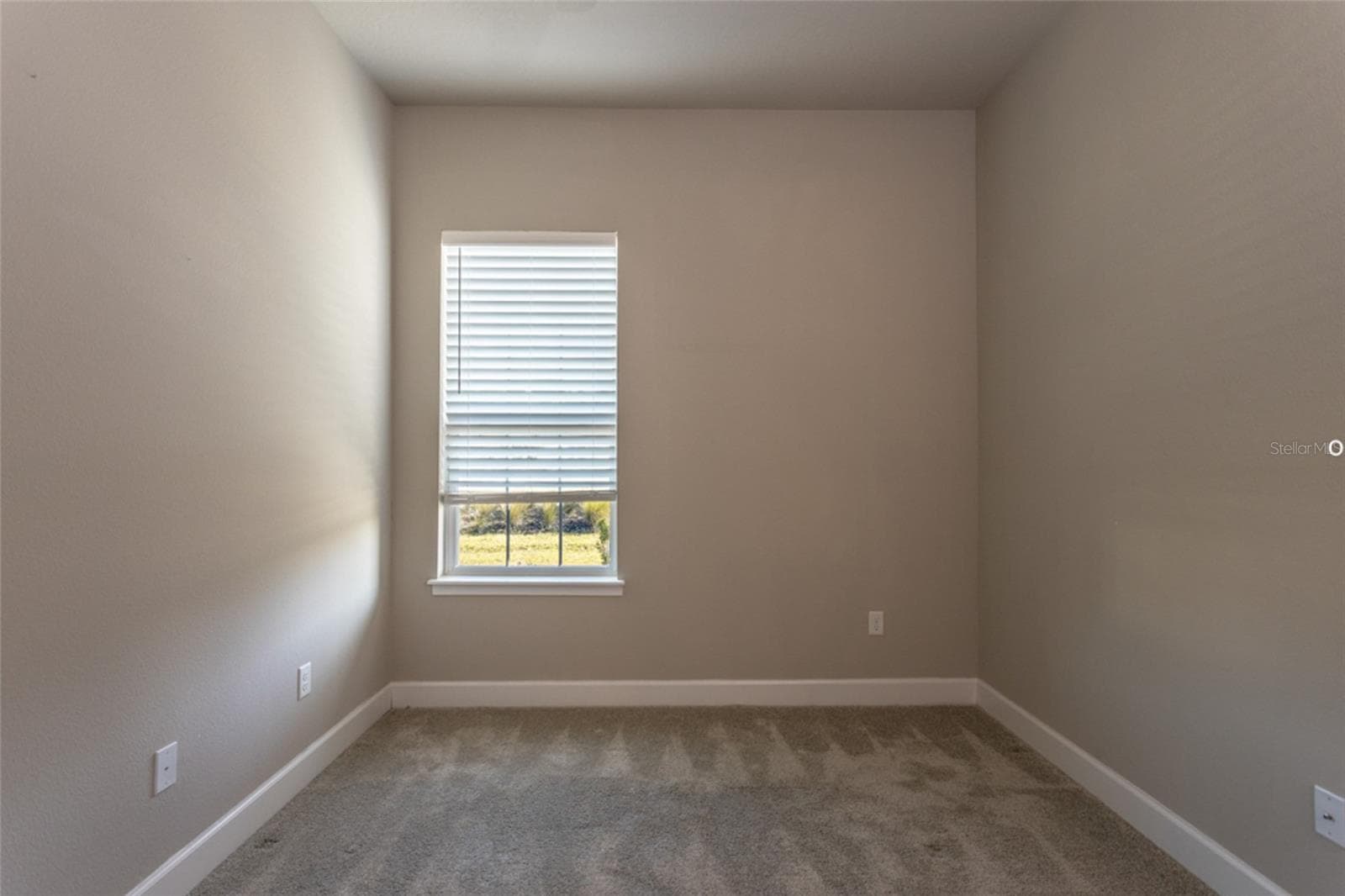 Plush carpeting in secondary bedroom - 3 NEWHAVEN LN, ORMOND BEACH