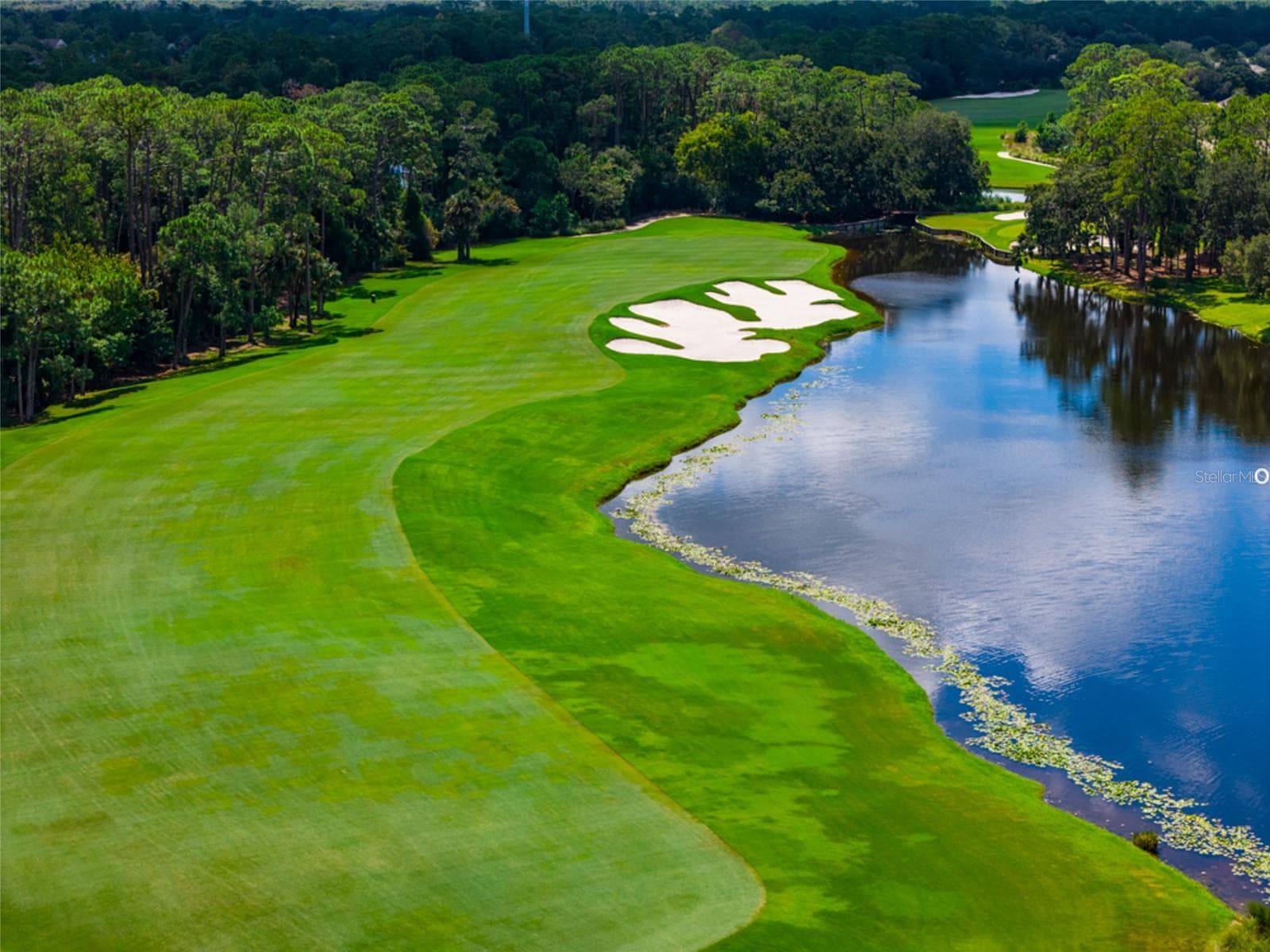 Picture perfect fairway - 3 NEWHAVEN LN, ORMOND BEACH