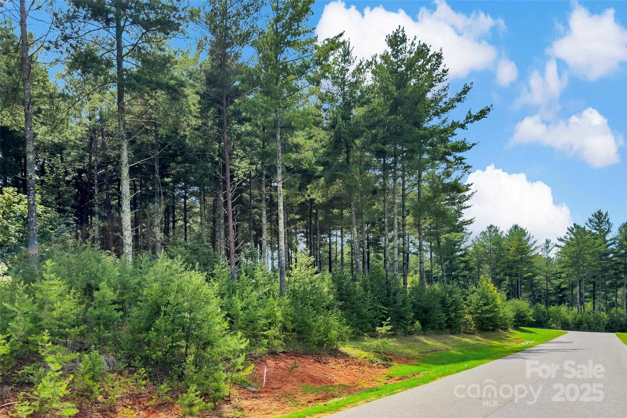 Lot at Nebo, photo 17 of 47