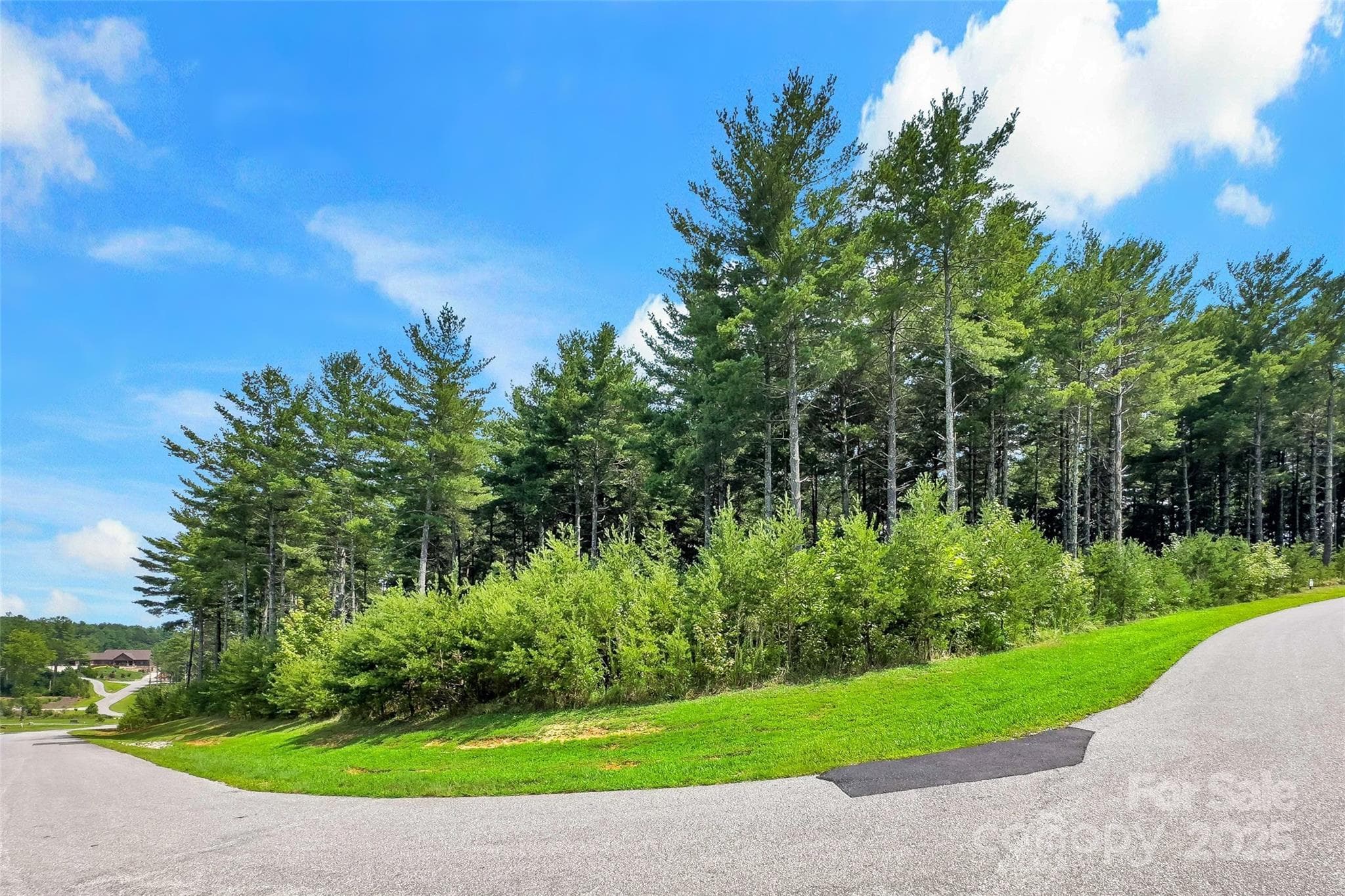 Lot at Nebo, photo 21 of 47