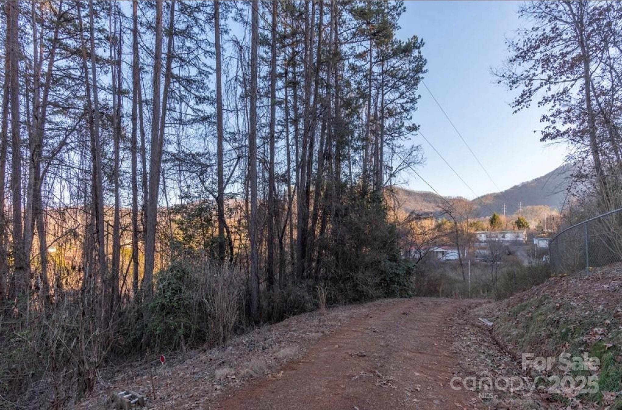 Lot at 00 Homestead Avenue, Bryson City, photo 5 of 5