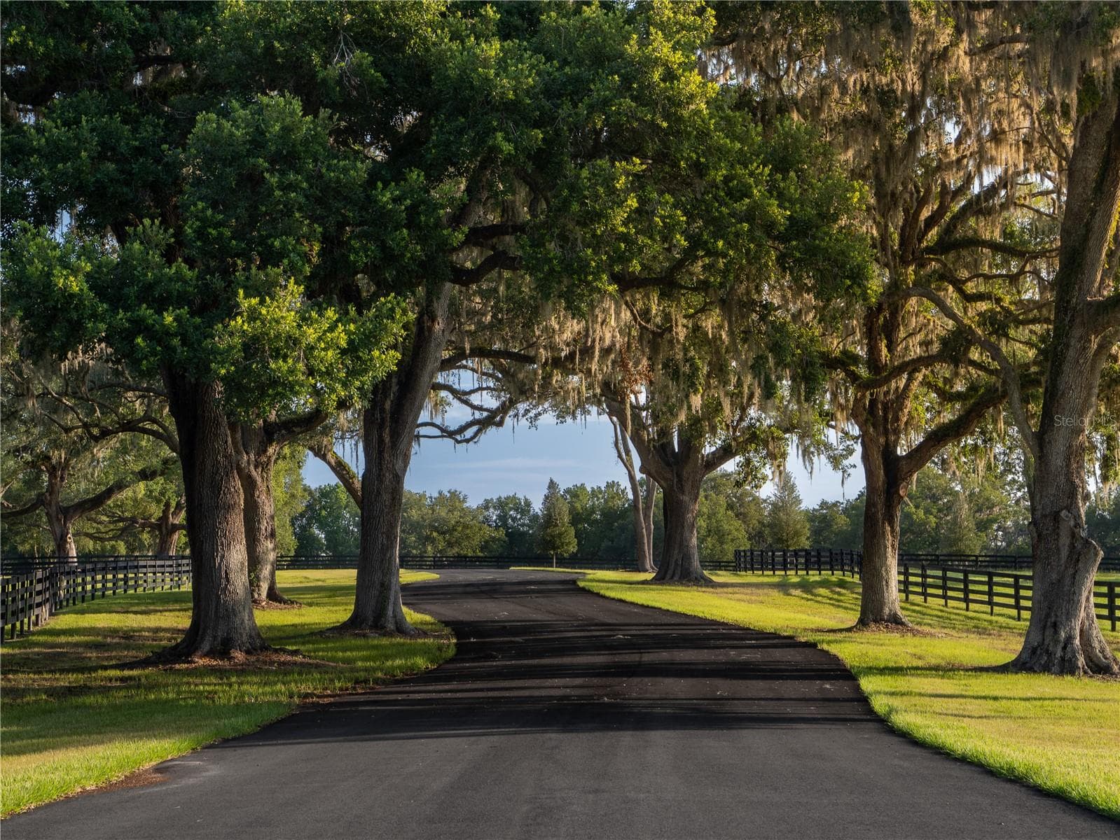 Land at 11771 NW 50TH LANE RD, OCALA, photo 2 of 6