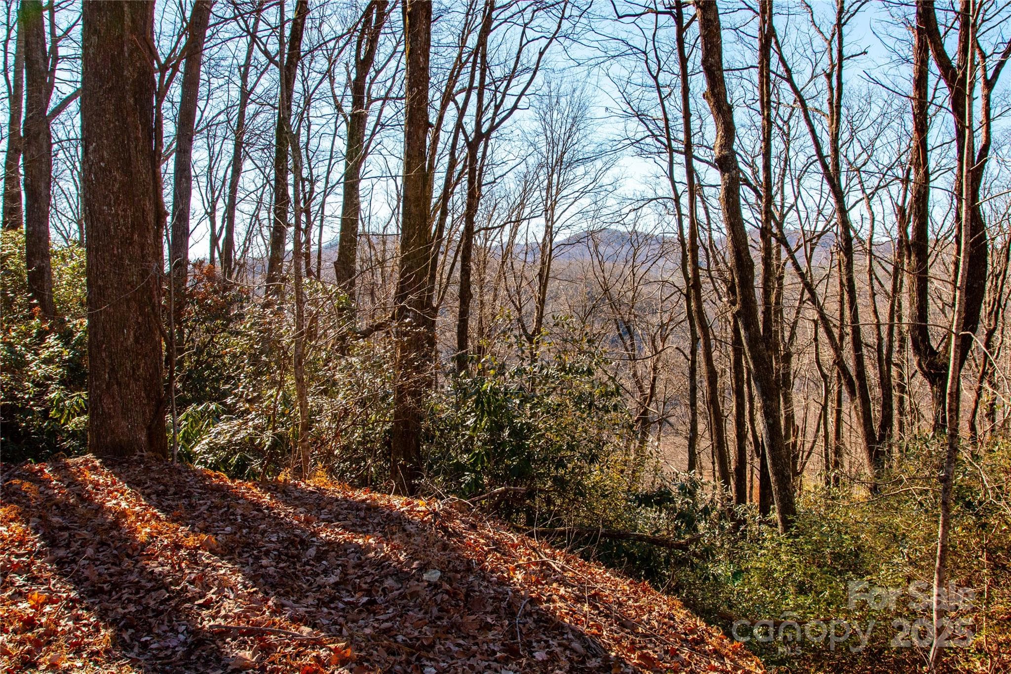 Lot at Lot 18 Joshua Road, Rosman, photo 2 of 20