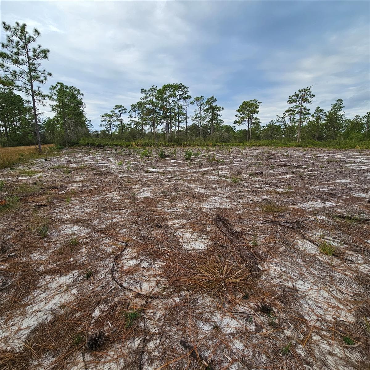Land at 108 EL DORADO DR, INDIAN LAKE ESTATES, photo 7 of 32
