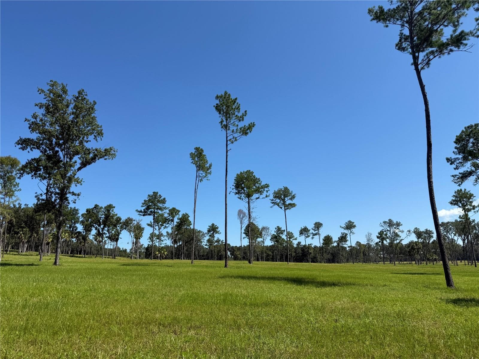 Land at DO #6 (24ac) NW 193RD ST, MICANOPY, photo 2 of 11