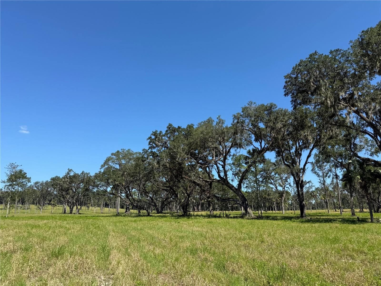 Land at DO #6 (24ac) NW 193RD ST, MICANOPY, photo 3 of 11