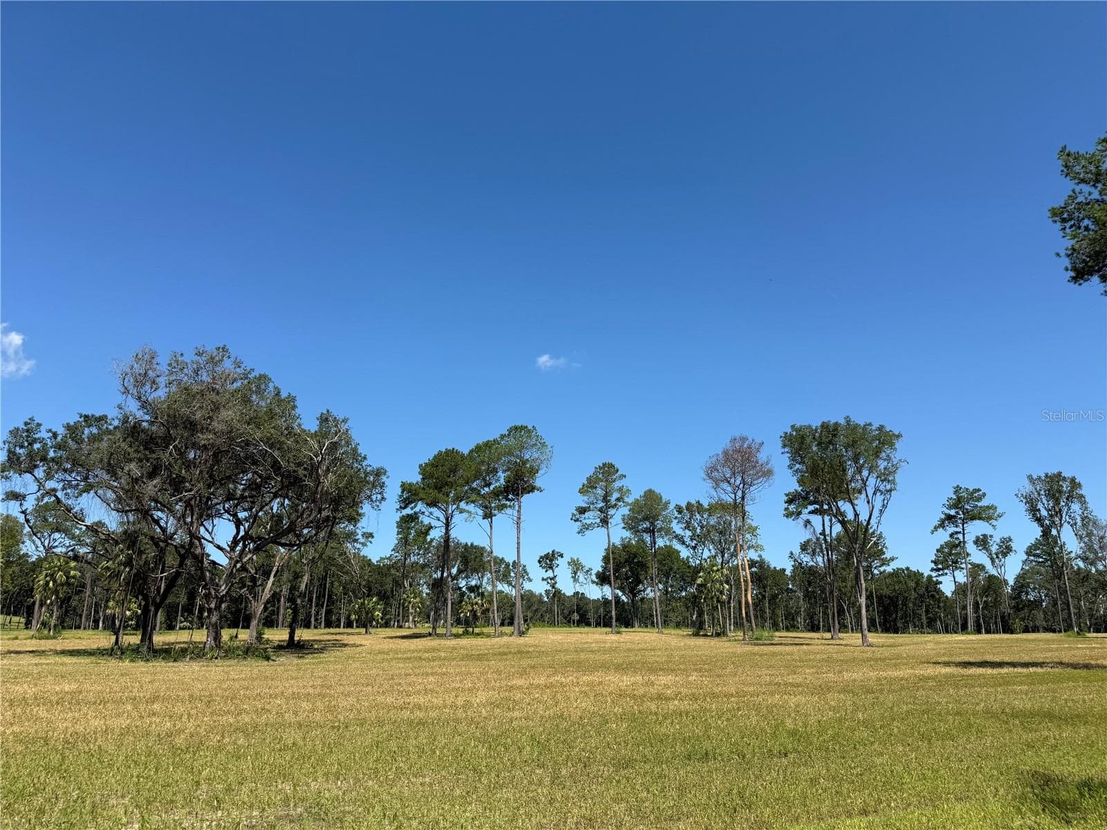 Land at DO #6 (24ac) NW 193RD ST, MICANOPY, photo 5 of 11