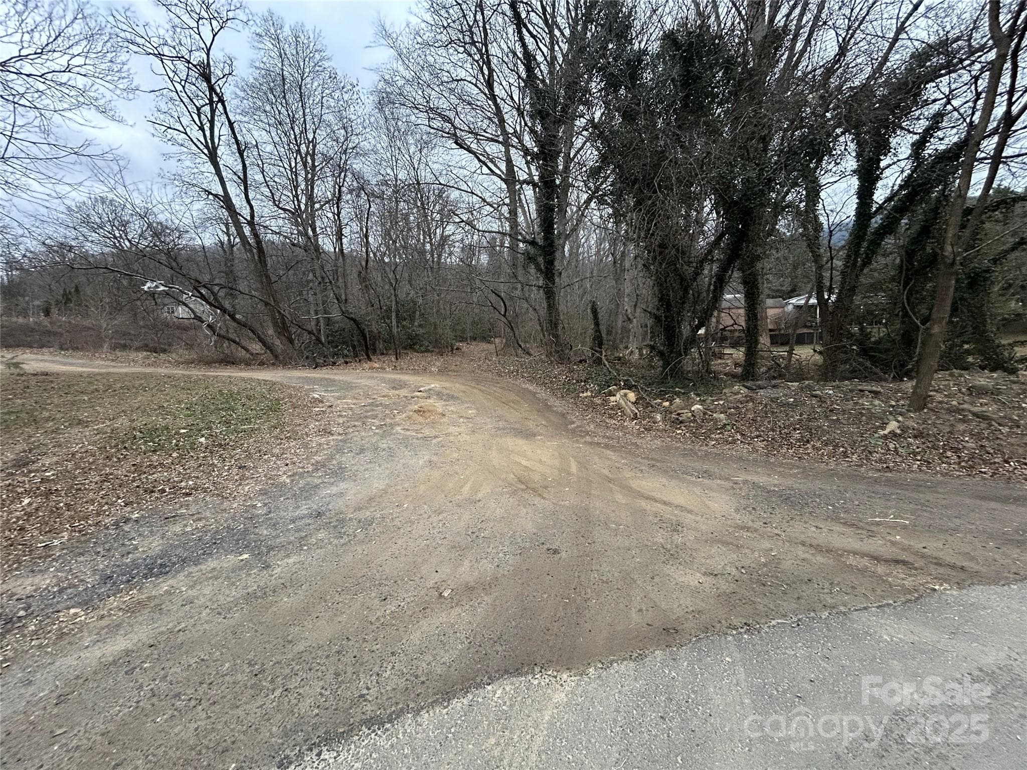 Acreage at 000 Lytle Cove Road, Swannanoa, photo 6 of 35