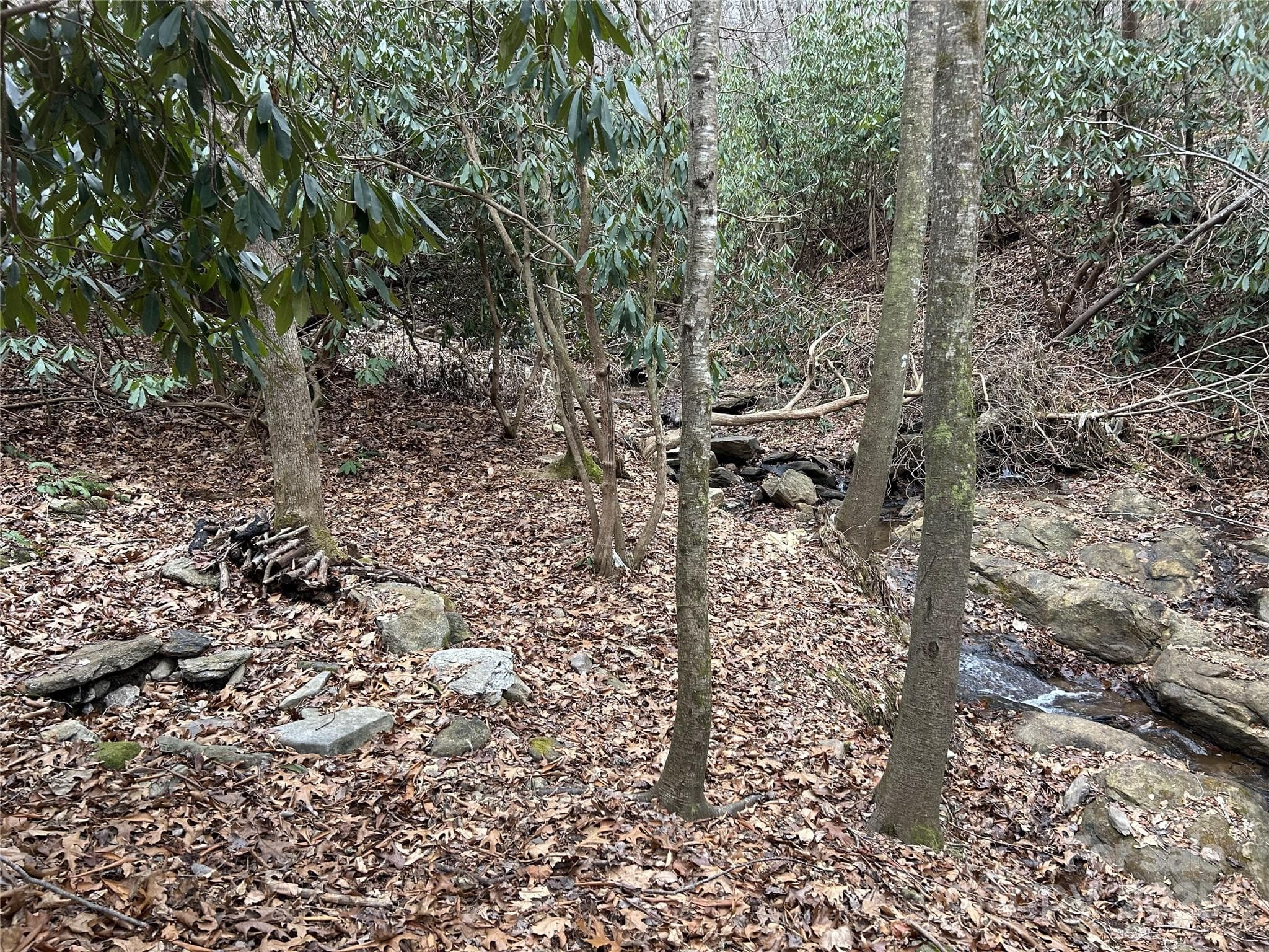 Acreage at 000 Lytle Cove Road, Swannanoa, photo 9 of 35