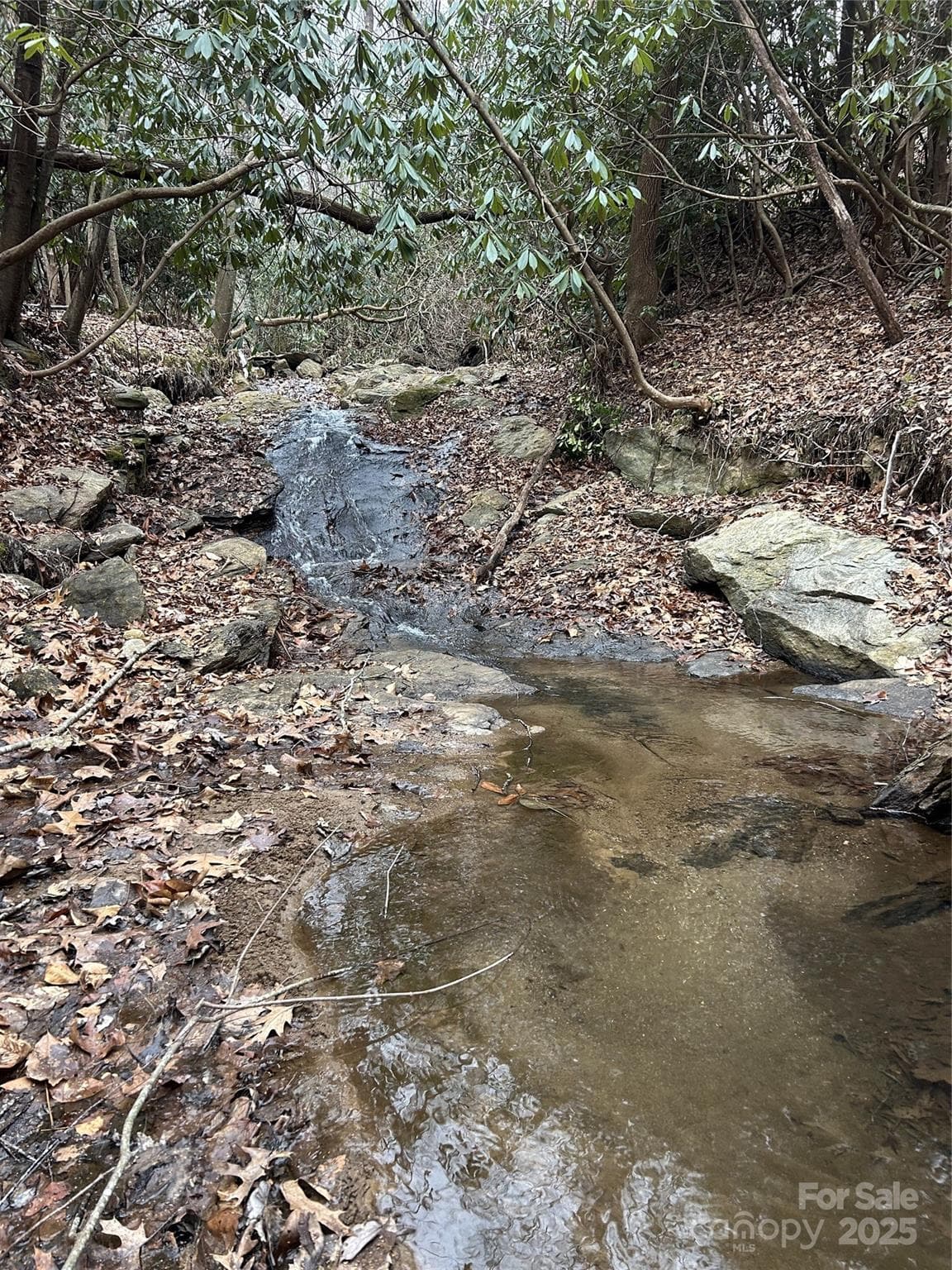 Acreage at 000 Lytle Cove Road, Swannanoa, photo 12 of 35