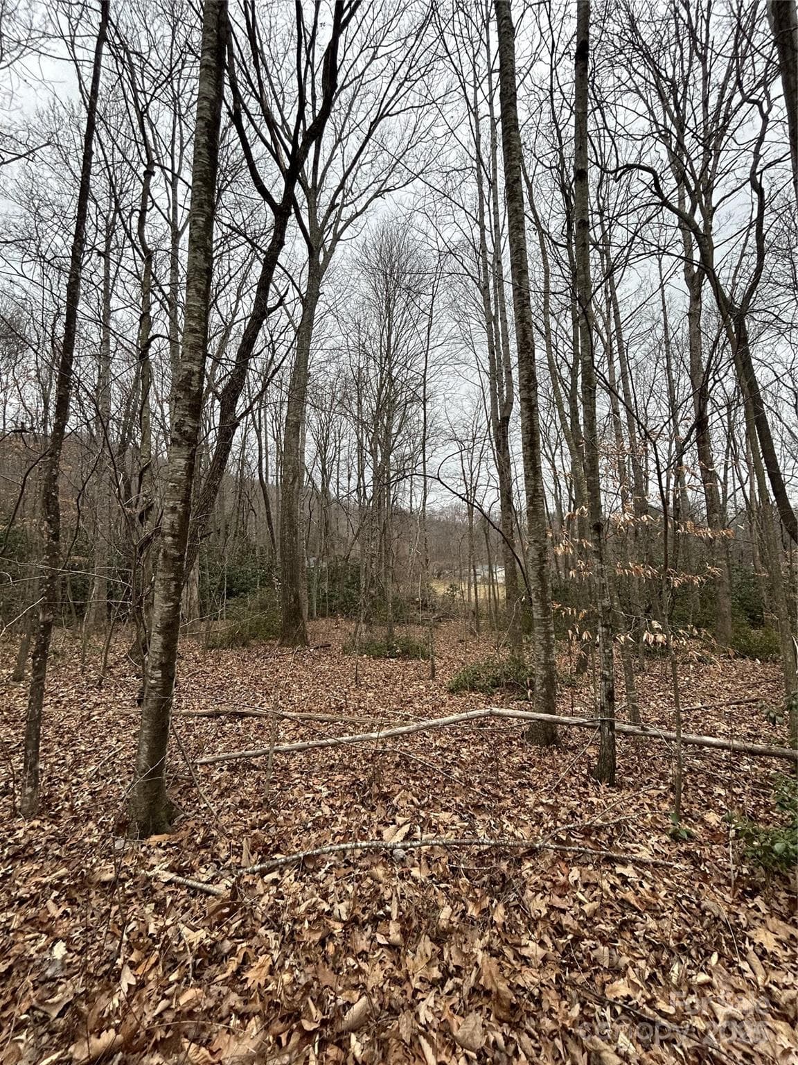 Acreage at 000 Lytle Cove Road, Swannanoa, photo 16 of 35