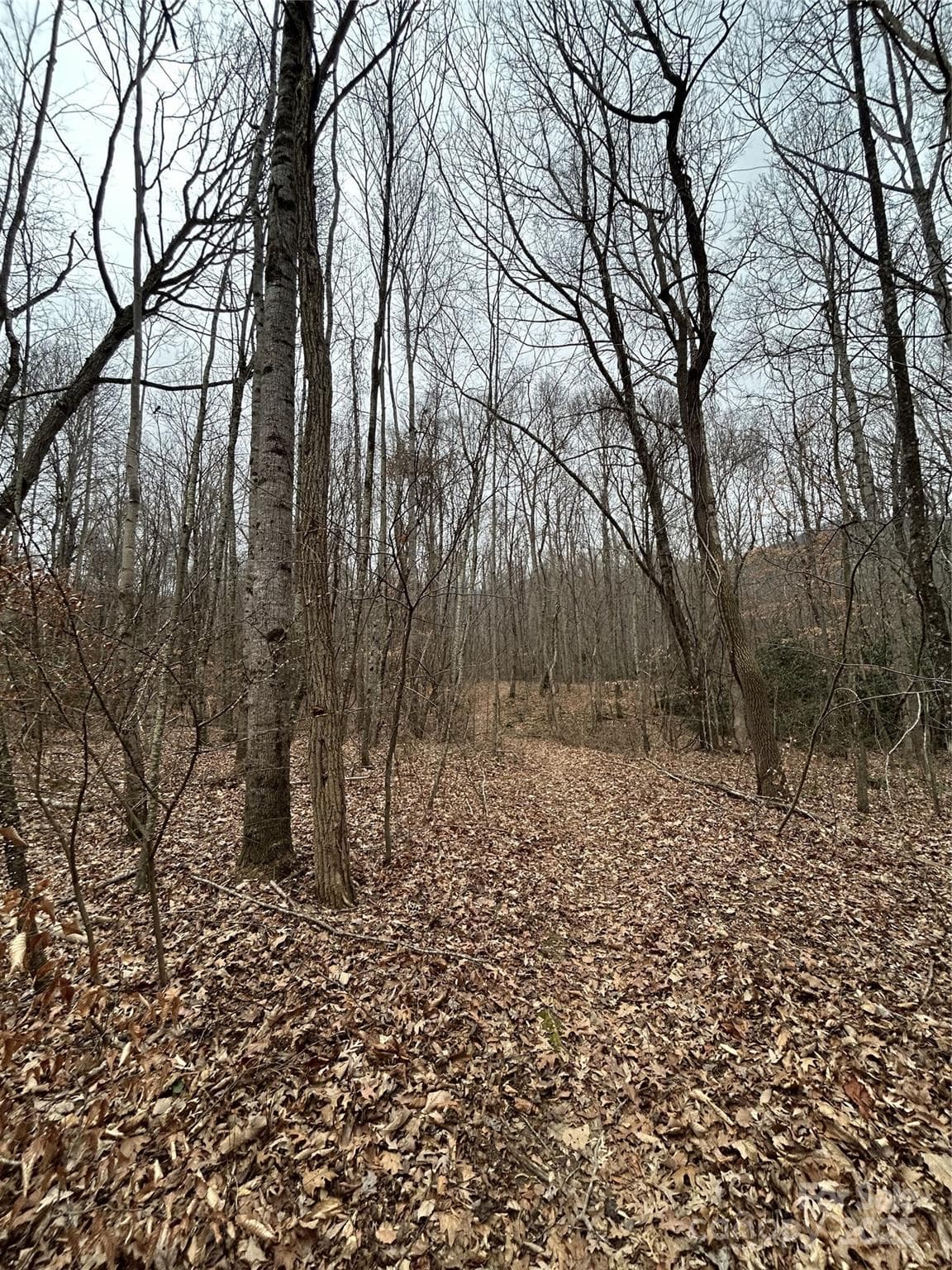 Acreage at 000 Lytle Cove Road, Swannanoa, photo 17 of 35
