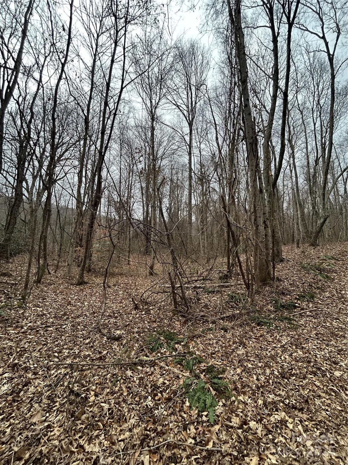 Acreage at 000 Lytle Cove Road, Swannanoa, photo 19 of 35