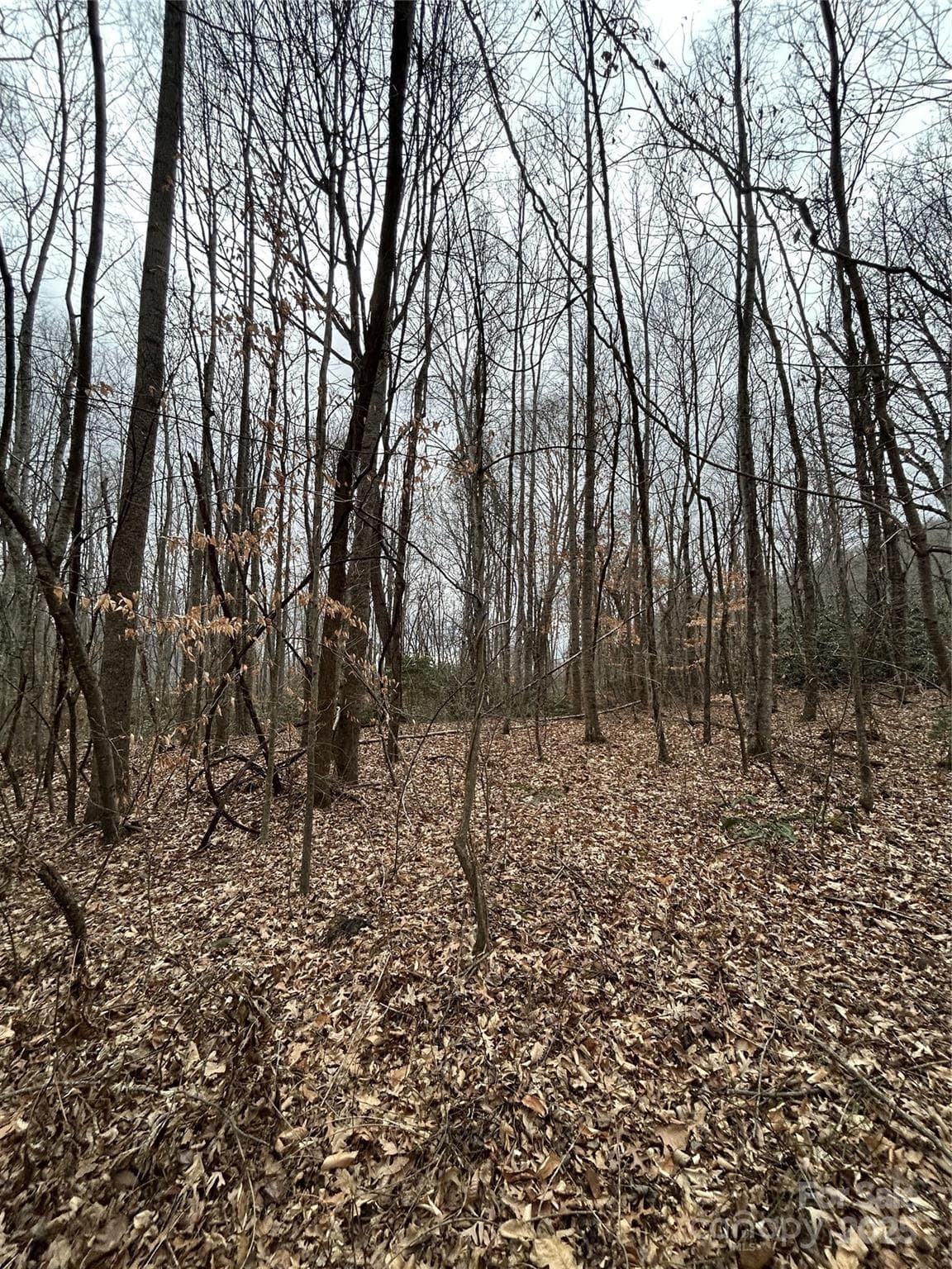 Acreage at 000 Lytle Cove Road, Swannanoa, photo 20 of 35