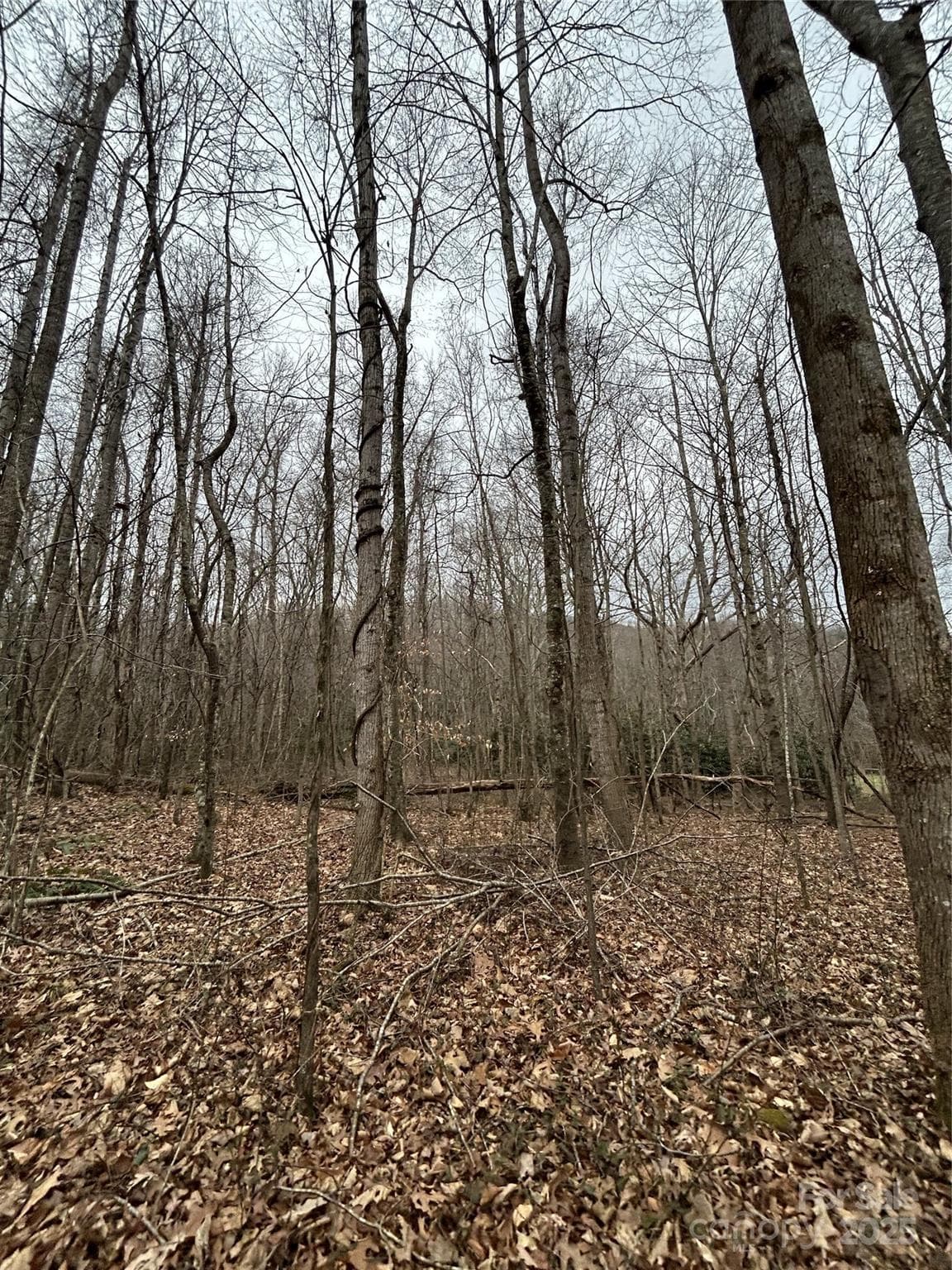 Acreage at 000 Lytle Cove Road, Swannanoa, photo 21 of 35