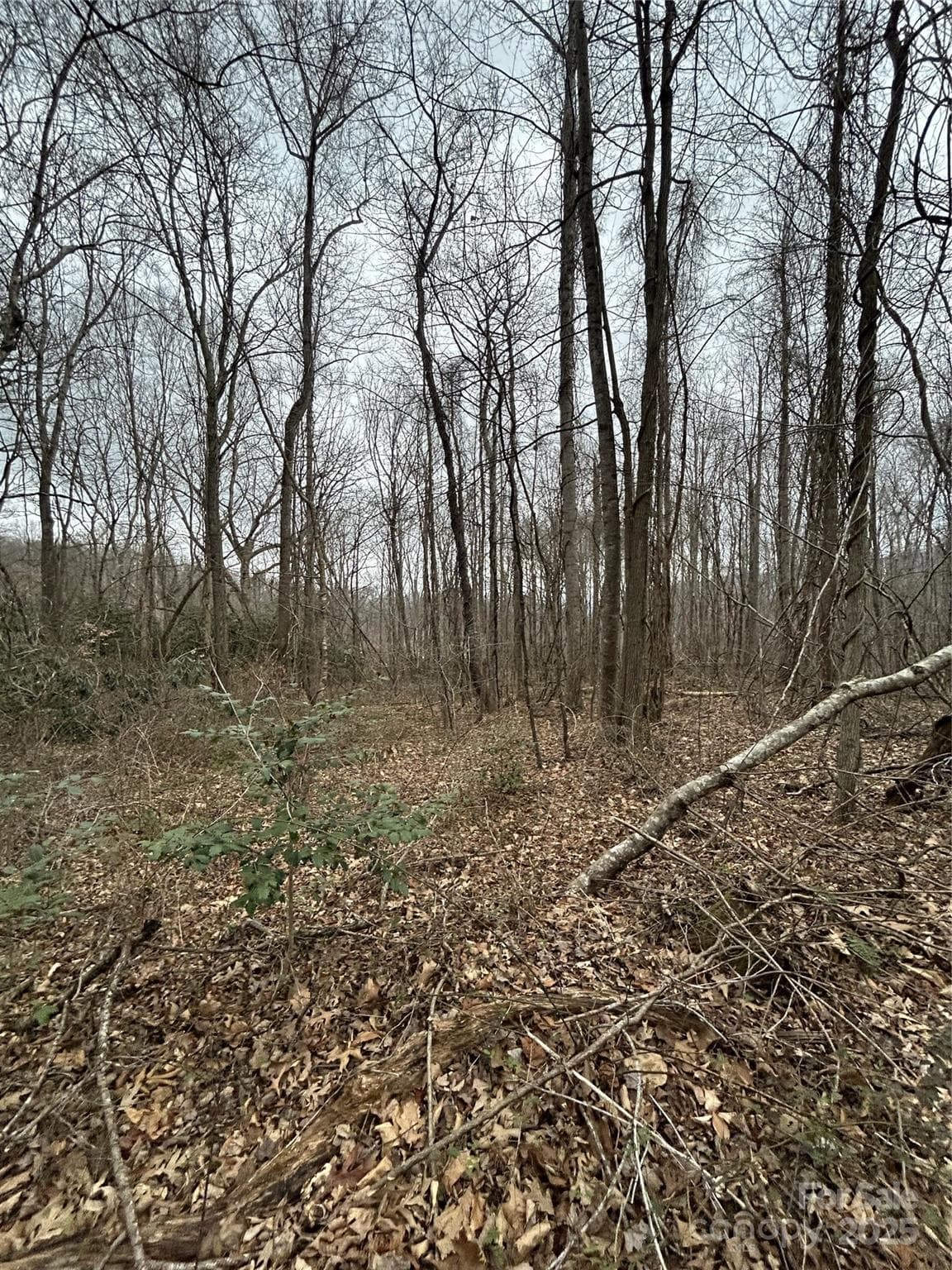 Acreage at 000 Lytle Cove Road, Swannanoa, photo 22 of 35
