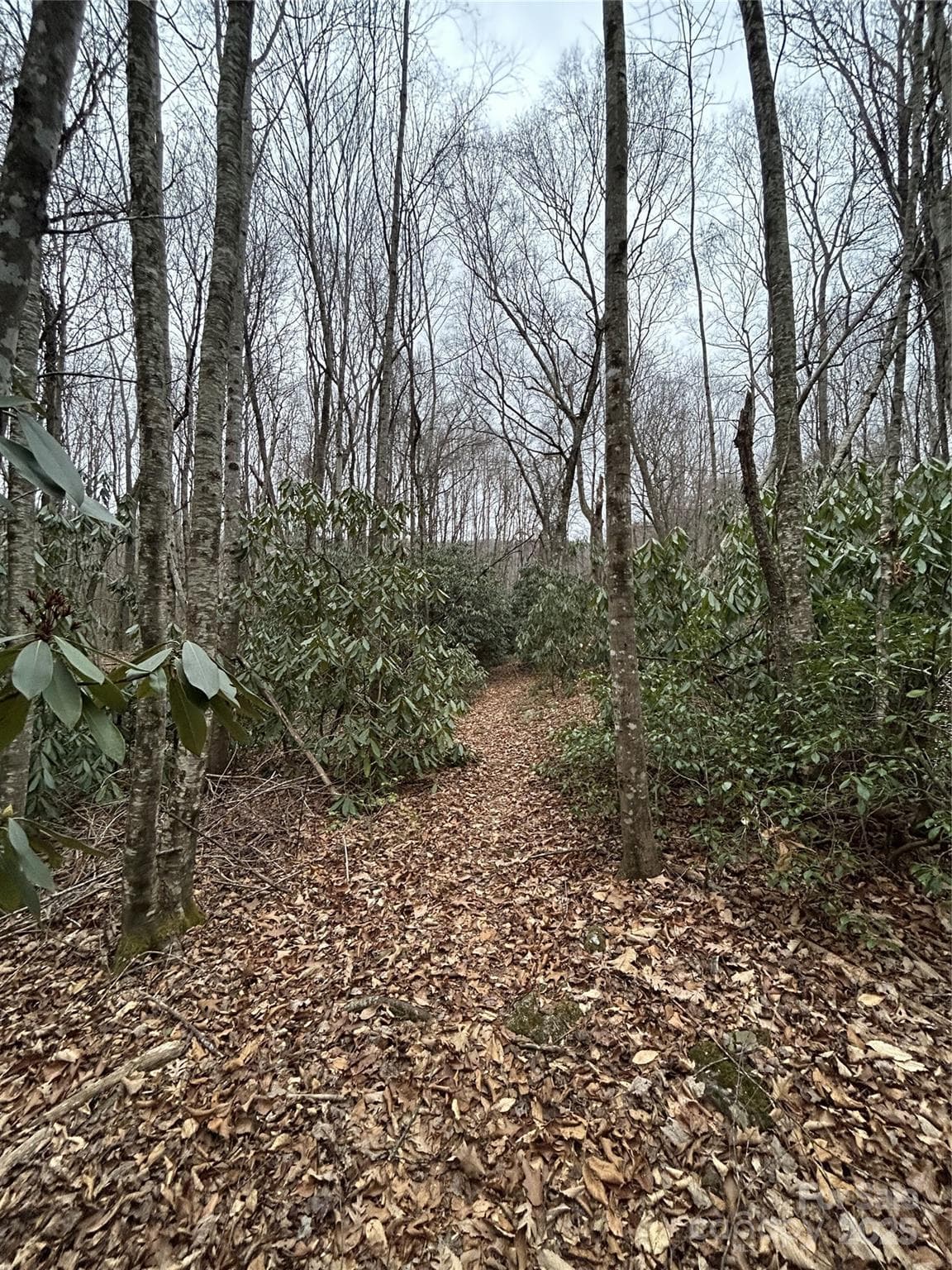 Acreage at 000 Lytle Cove Road, Swannanoa, photo 23 of 35