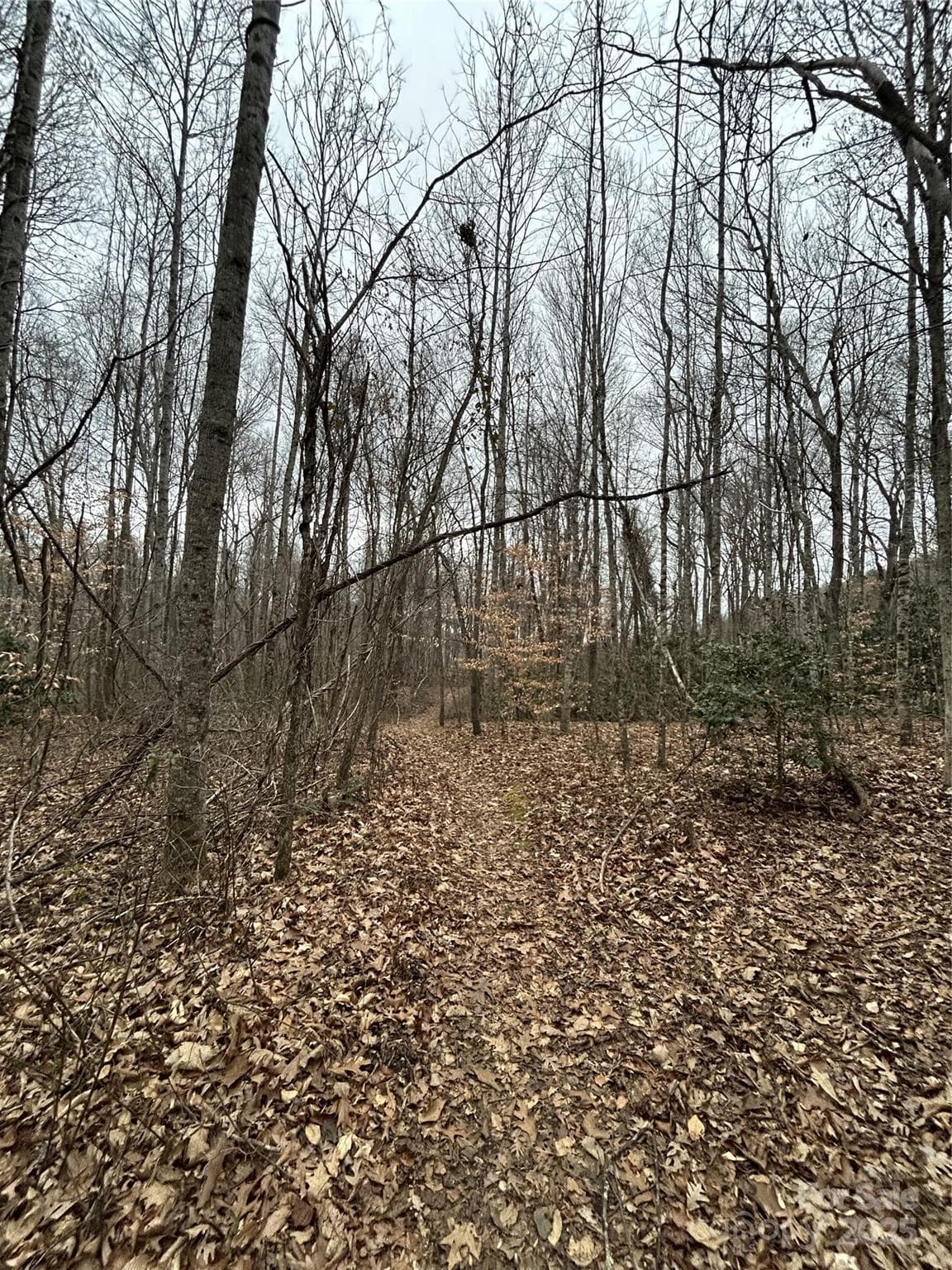 Acreage at 000 Lytle Cove Road, Swannanoa, photo 24 of 35