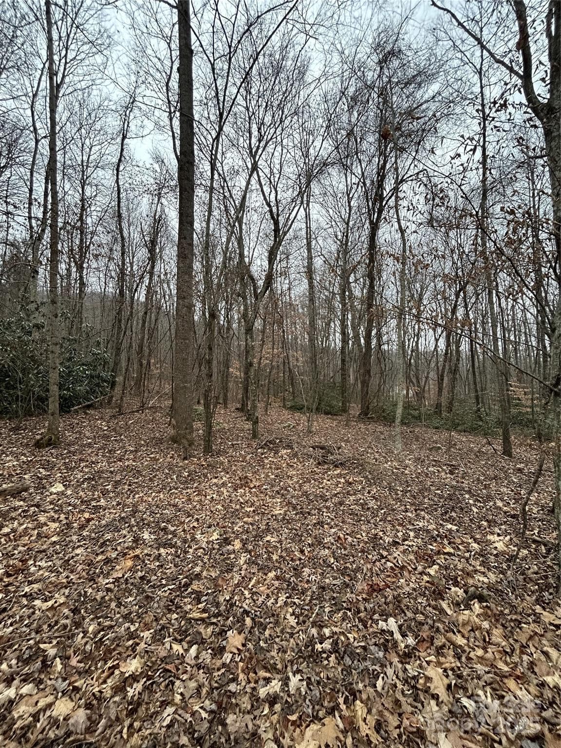 Acreage at 000 Lytle Cove Road, Swannanoa, photo 25 of 35