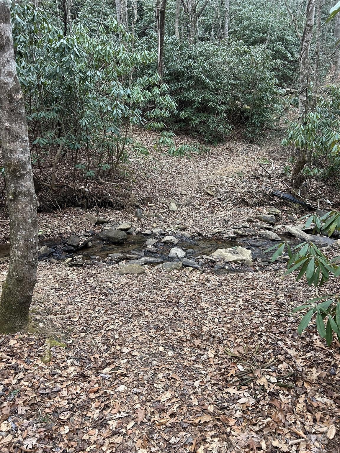 Acreage at 000 Lytle Cove Road, Swannanoa, photo 33 of 35