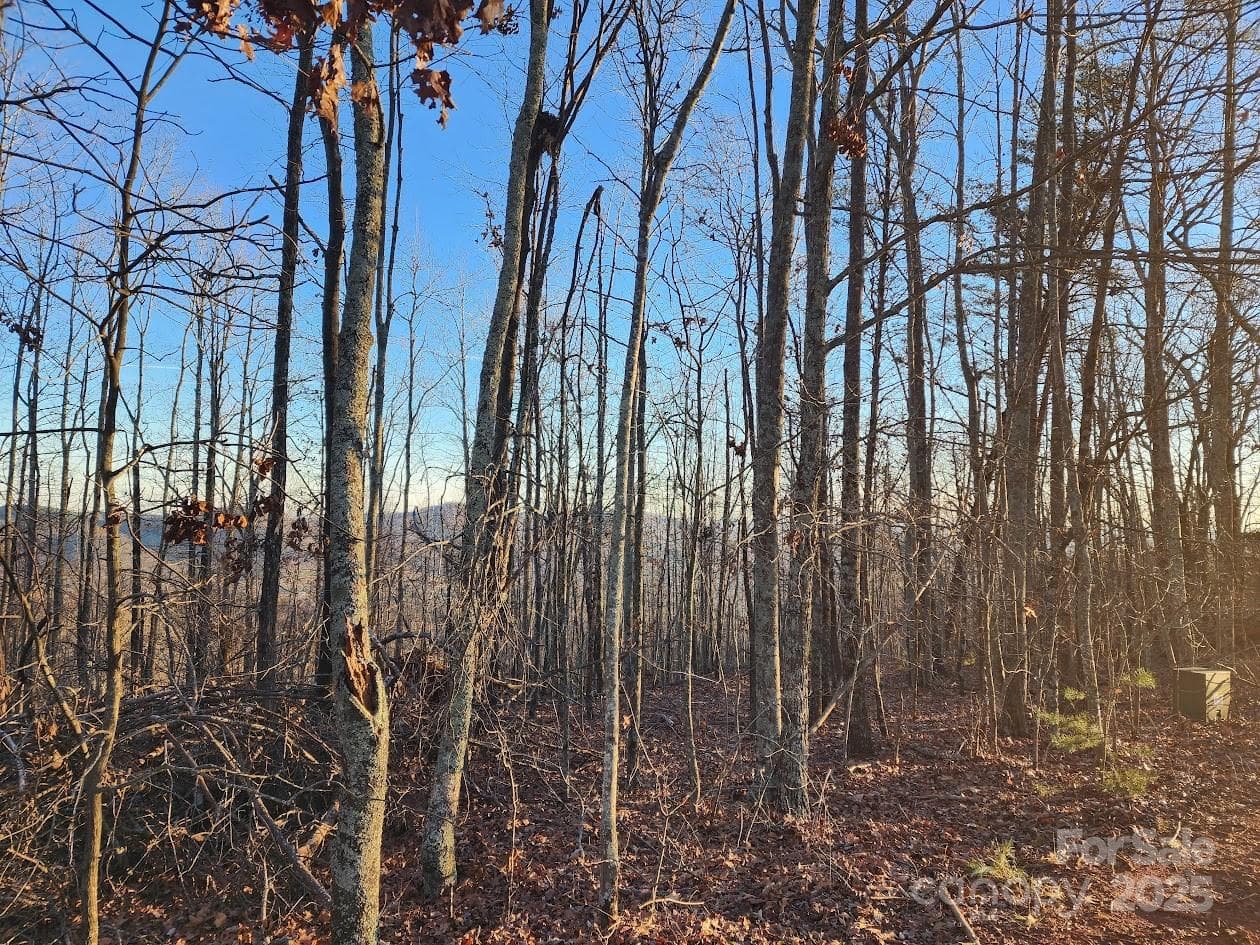 Lot at 69 Adirondack Lane, Bostic, photo 11 of 16