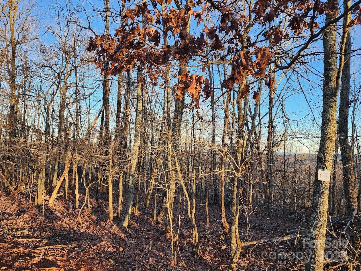Lot at 69 Adirondack Lane, Bostic, photo 13 of 16