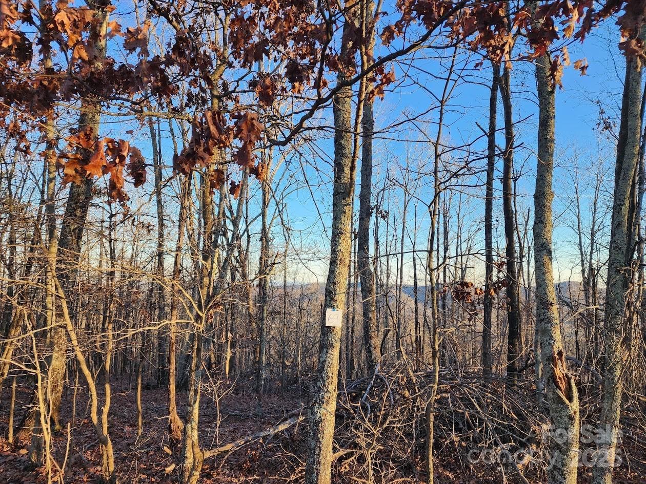 69 Adirondack Lane