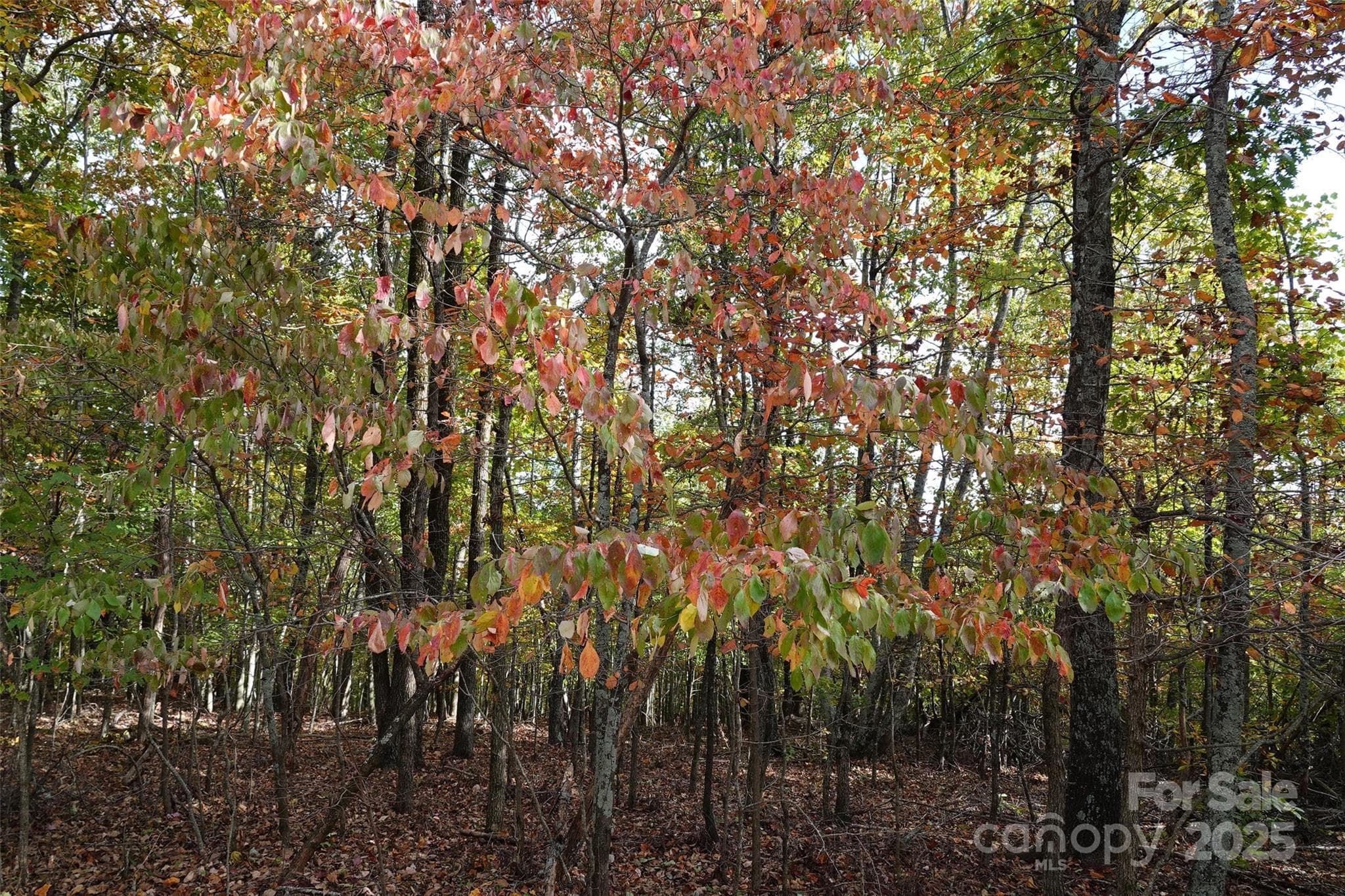 Lot at 69 Adirondack Lane, Bostic, photo 3 of 16