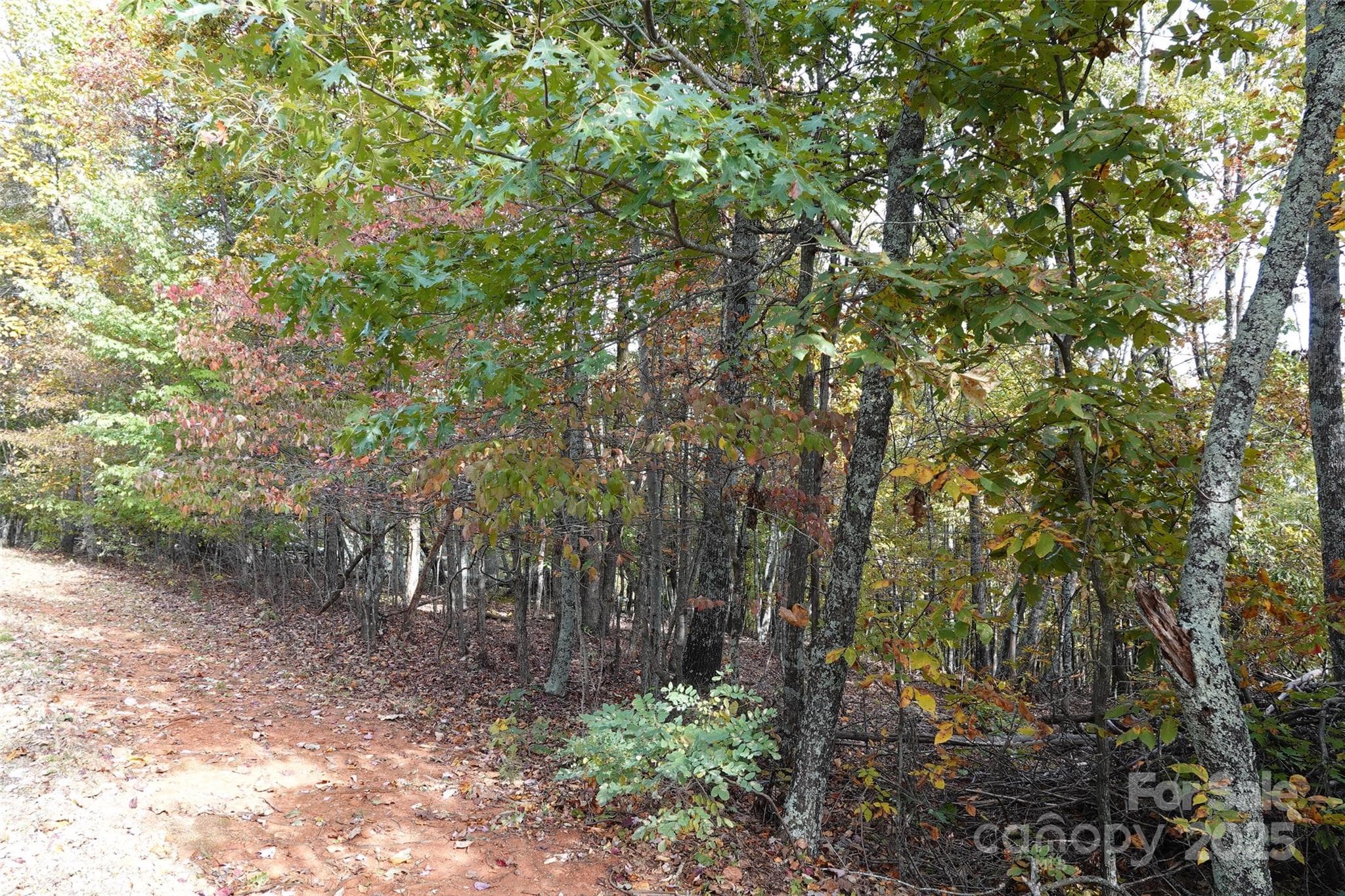 Lot at 69 Adirondack Lane, Bostic, photo 6 of 16
