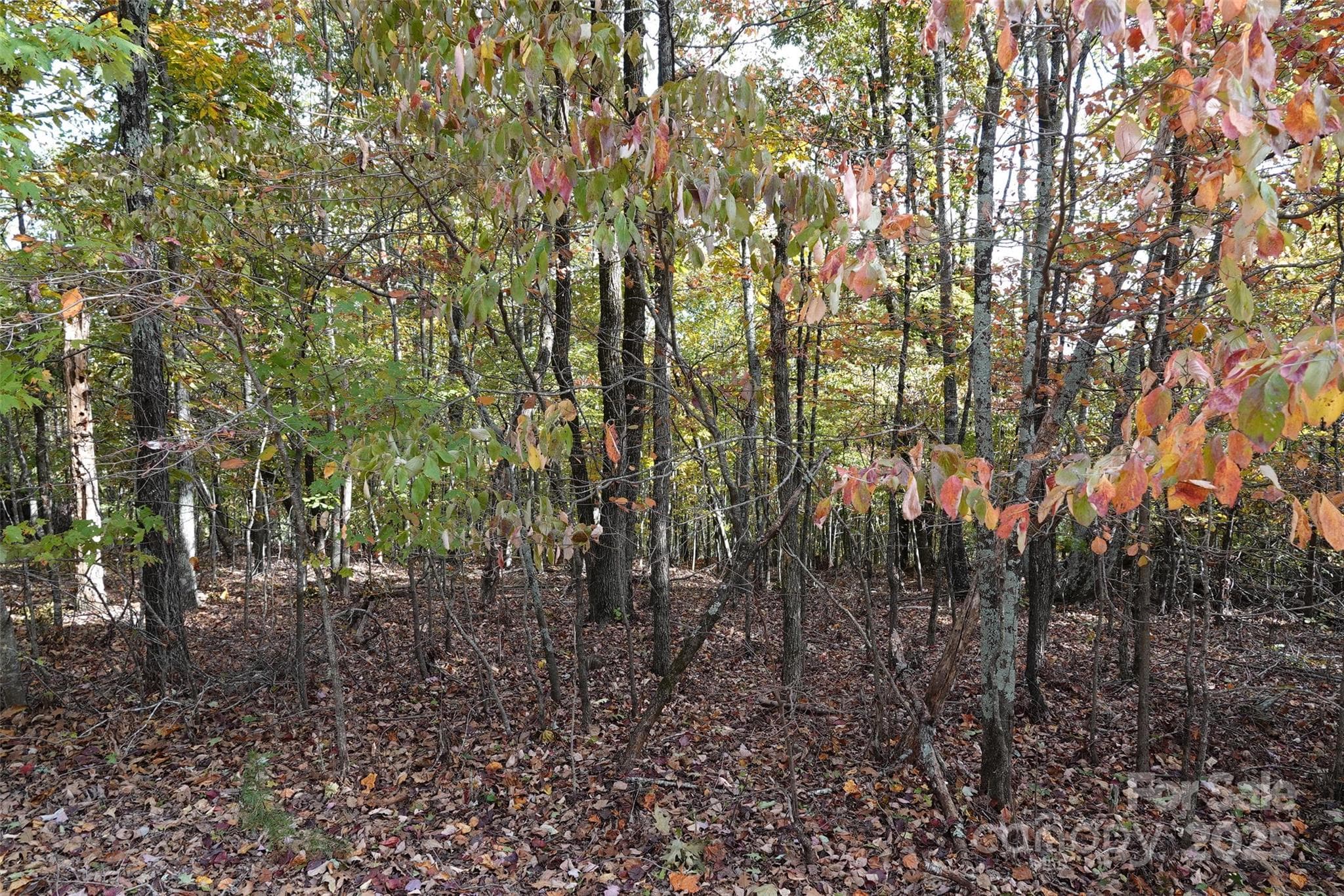 Lot at 69 Adirondack Lane, Bostic, photo 8 of 16